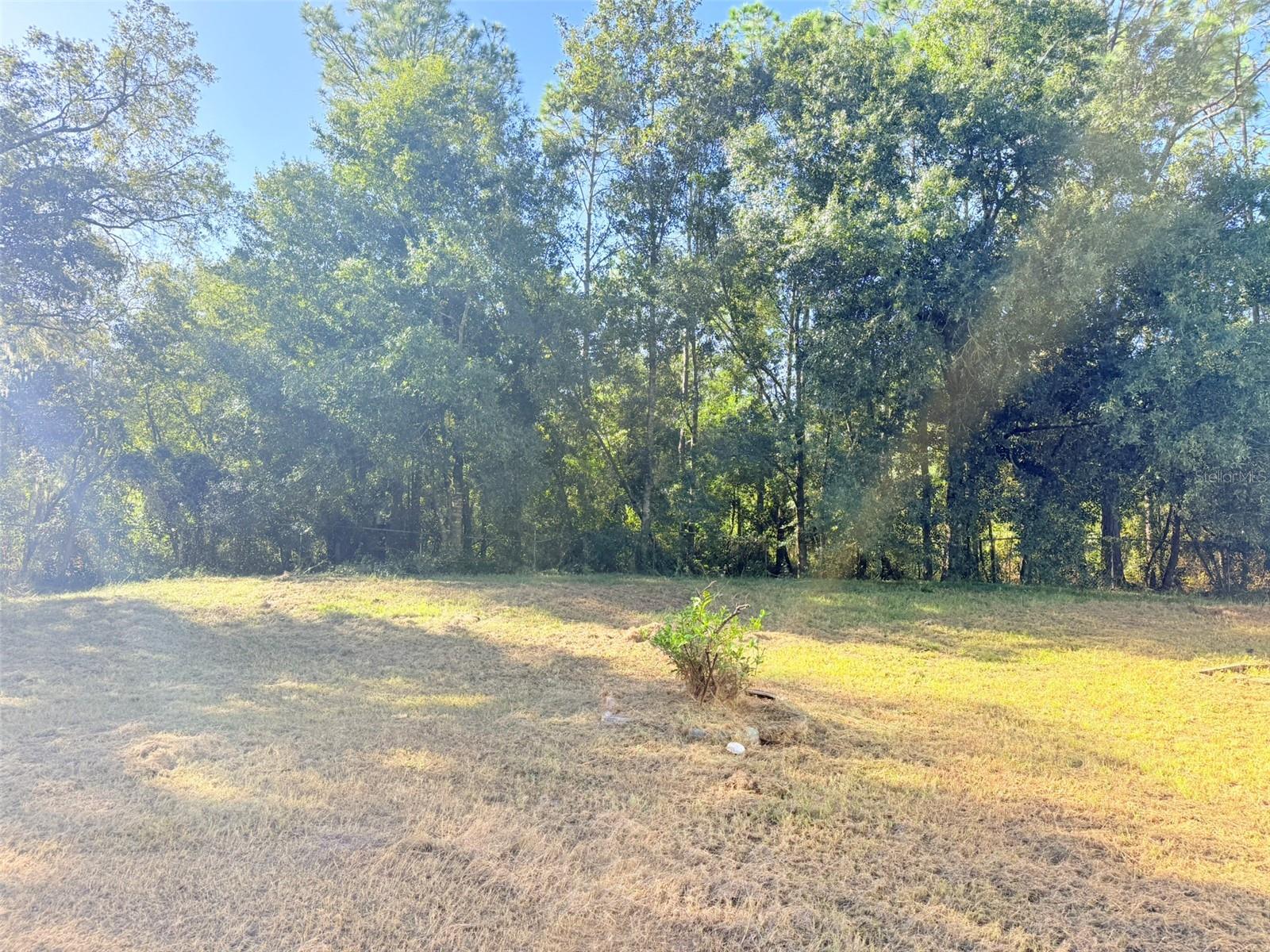 3131 ROAD RUNNER RD — photo 32