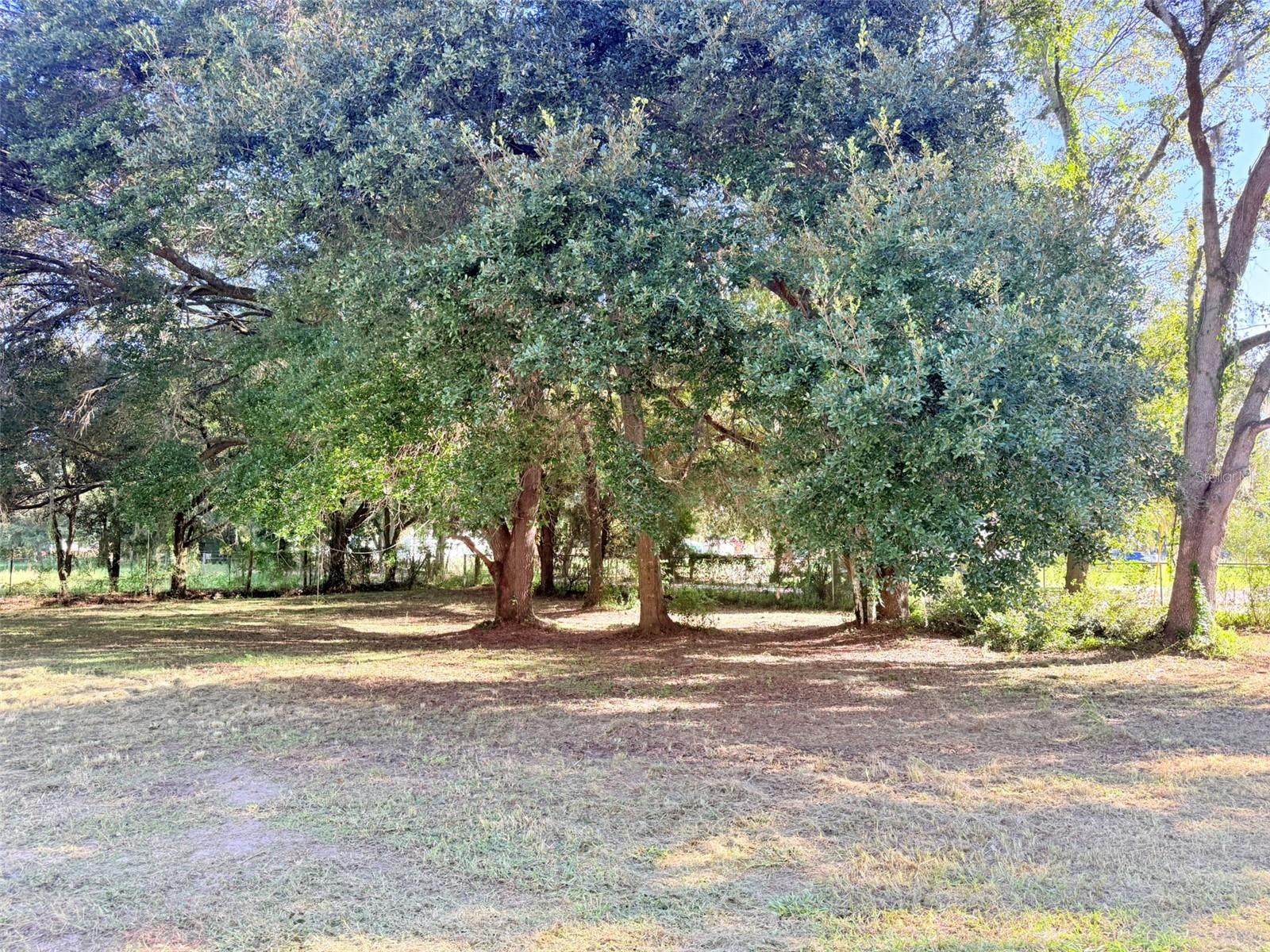 3131 ROAD RUNNER RD — photo 33