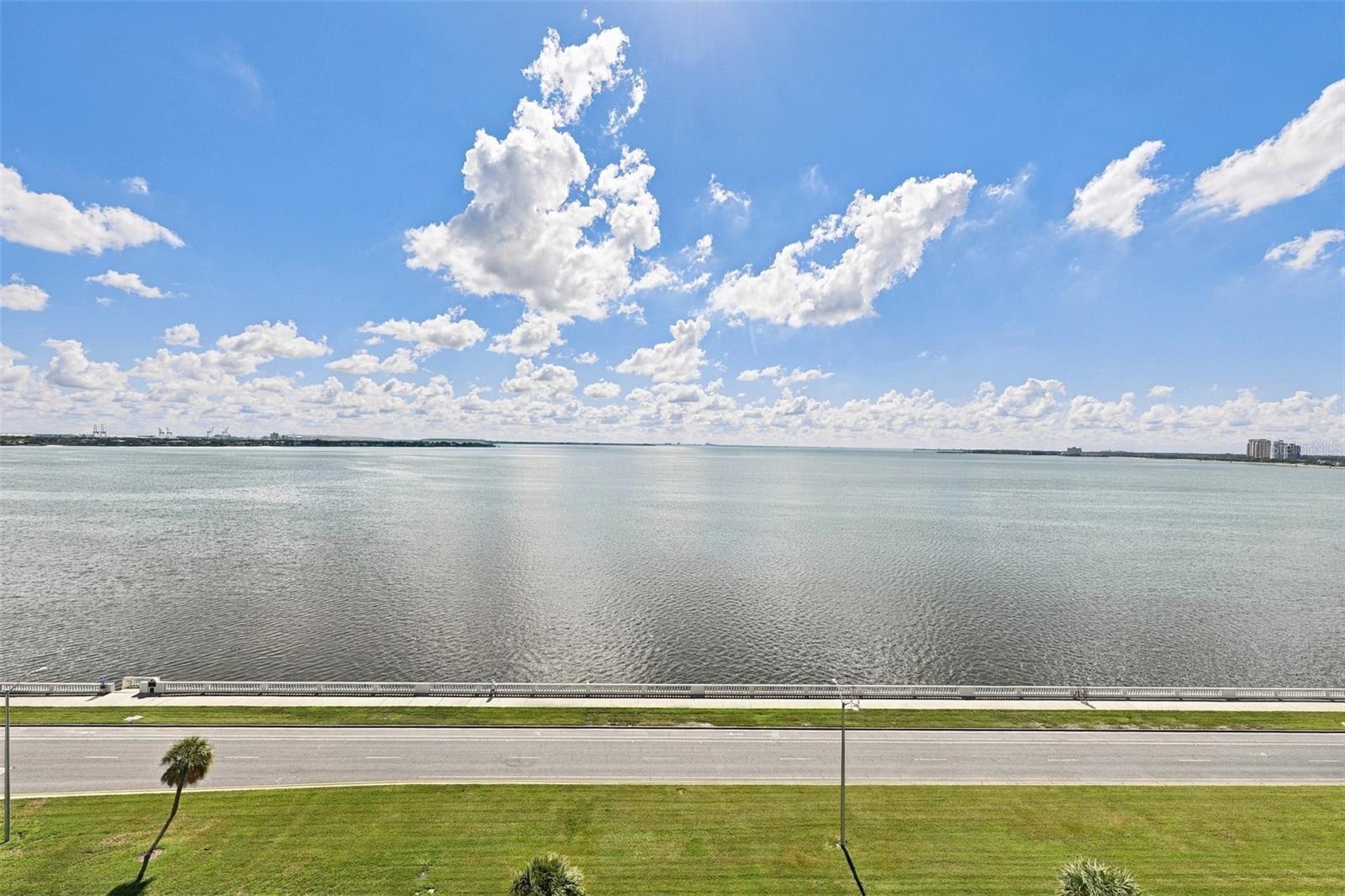 2413 BAYSHORE BLVD #1005 — photo 17