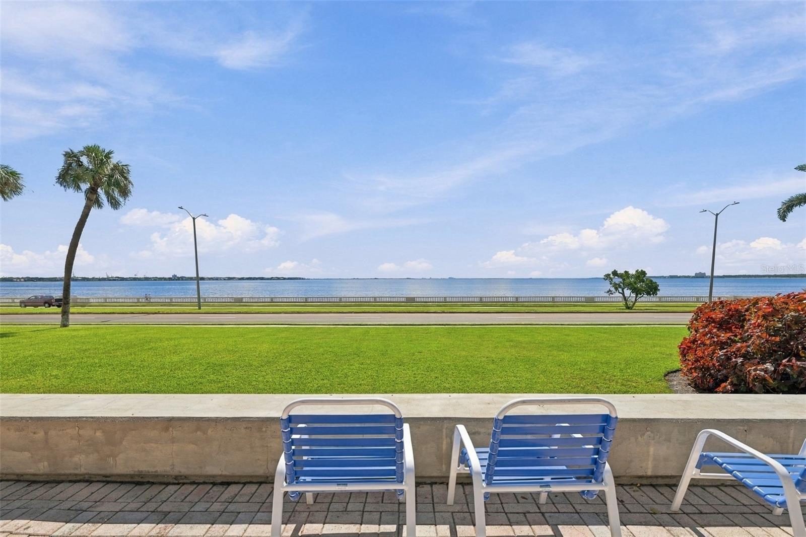 2413 BAYSHORE BLVD #1005 — photo 51