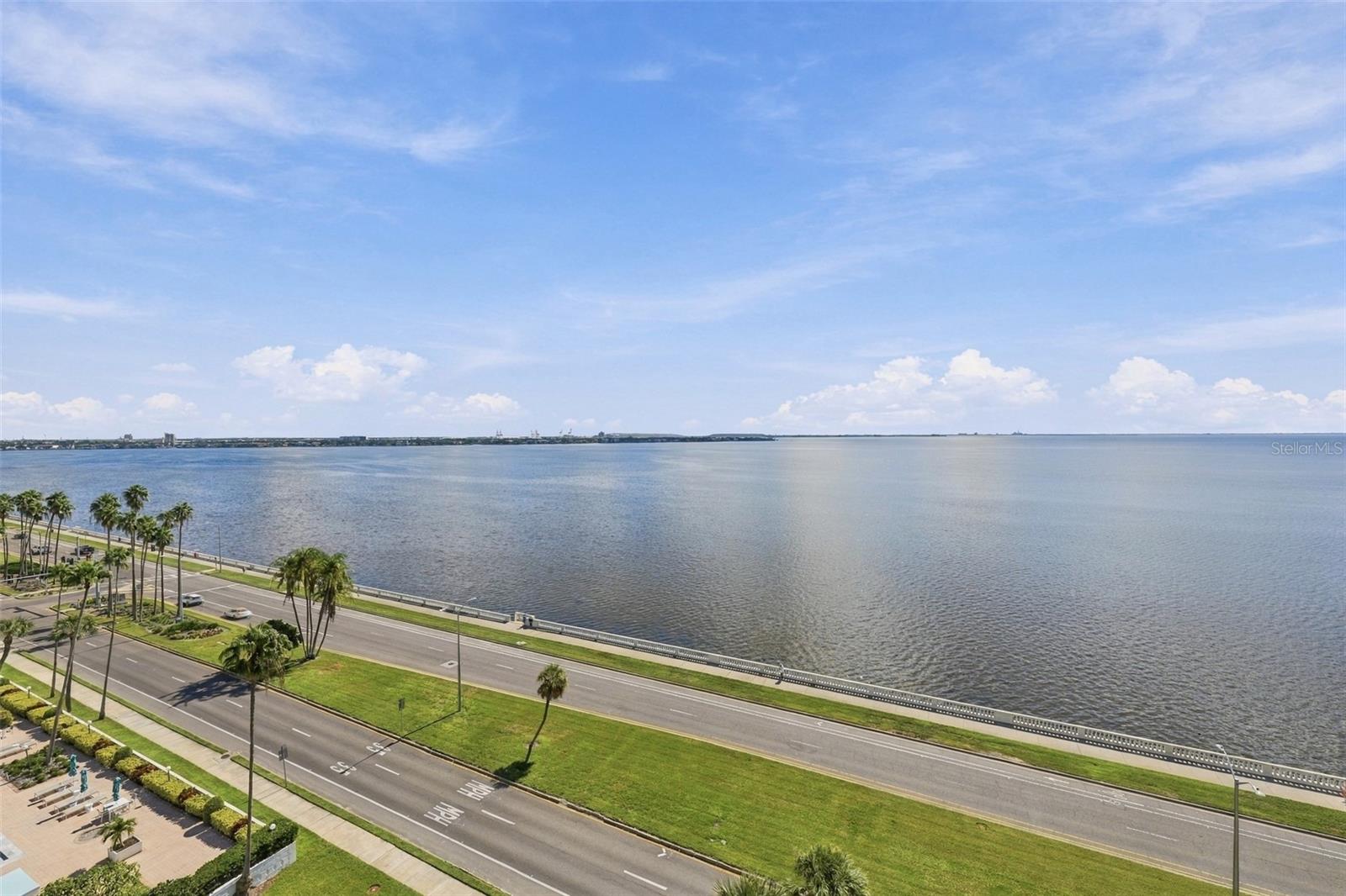 2413 BAYSHORE BLVD #1005 — photo 25