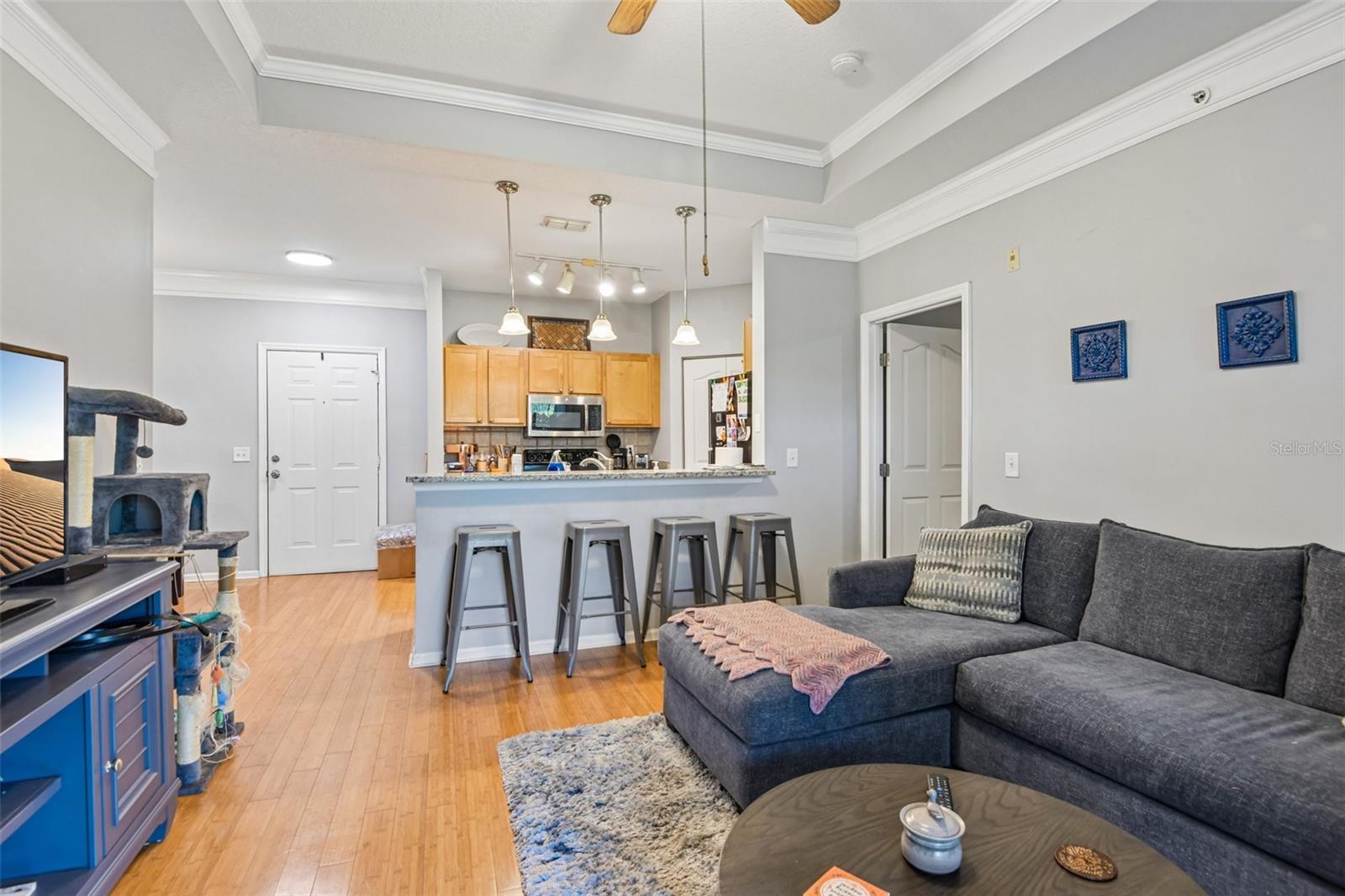 4207 S DALE MABRY HWY #2414 — photo 16