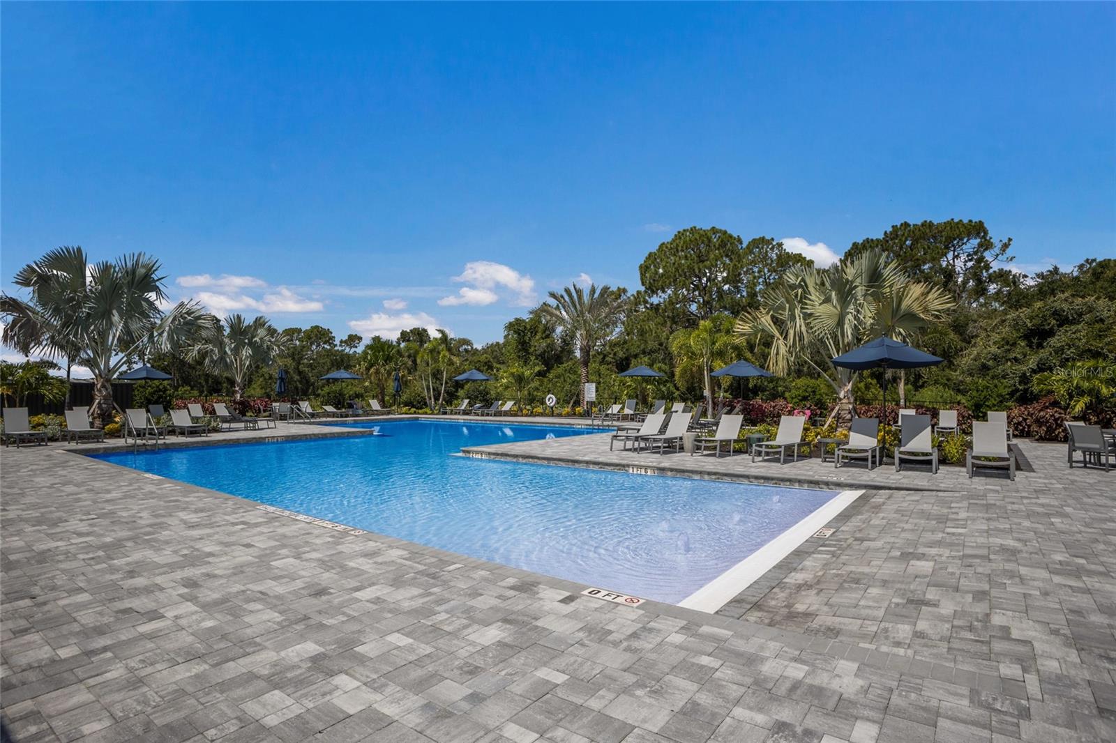 16523 ARBOR RIDGE TRL — photo 58