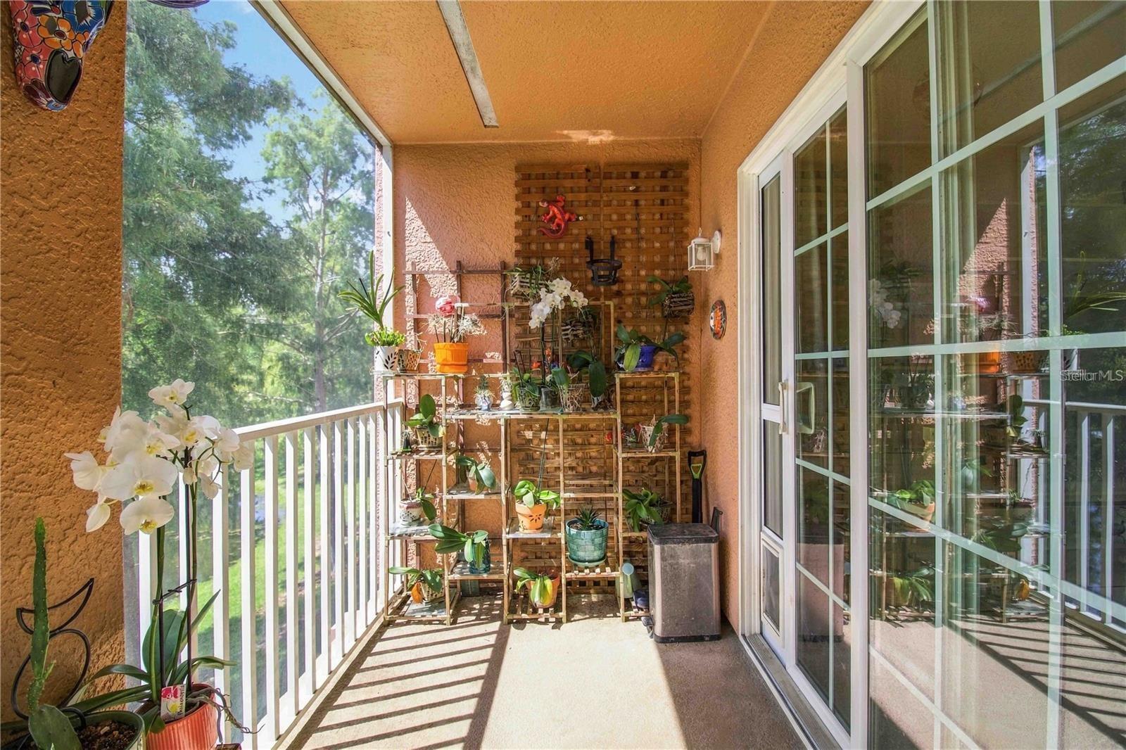 8884 WHITE SAGE LOOP #8884 — photo 9