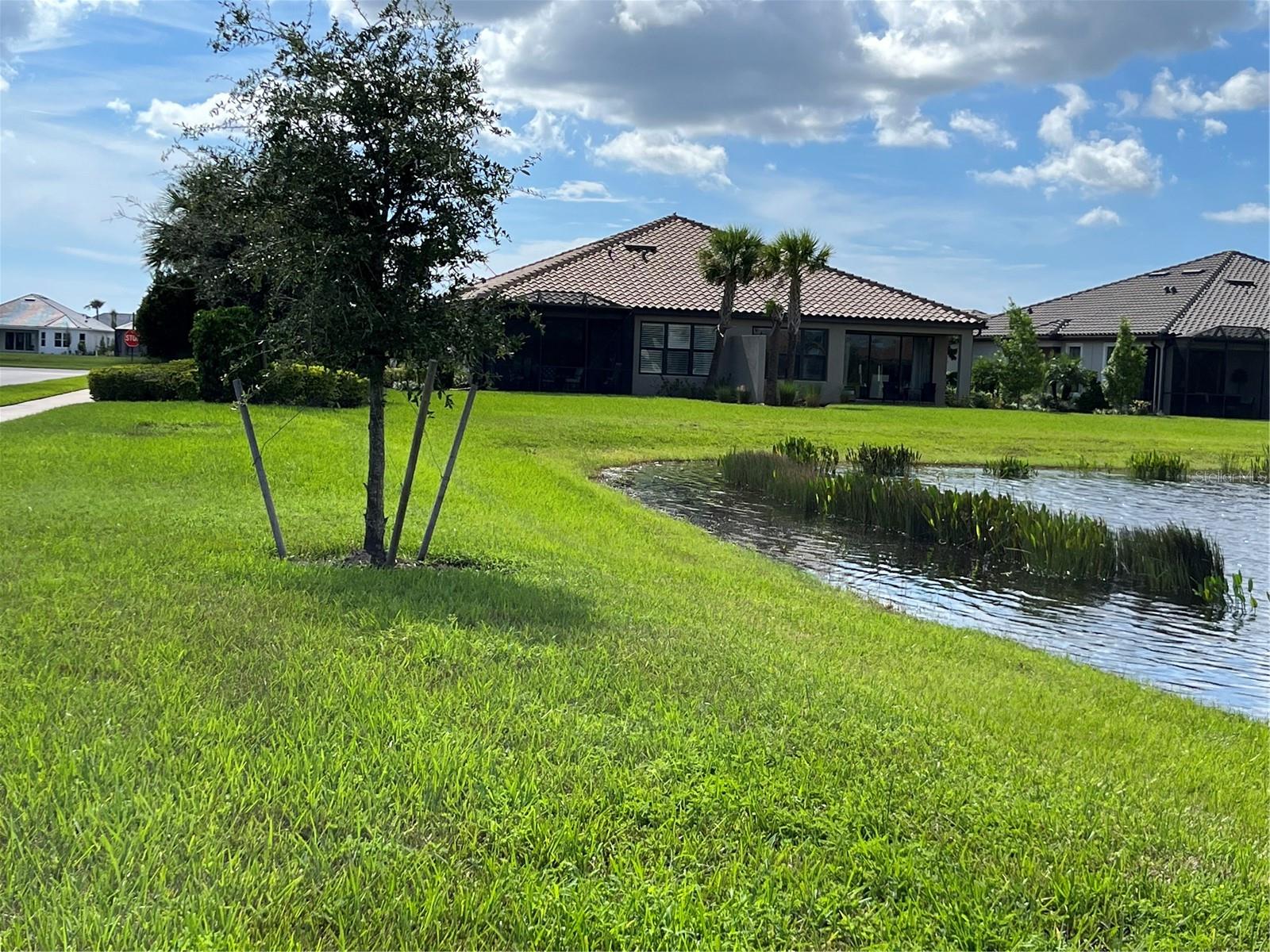 10433 MORNING MIST LN — photo 29
