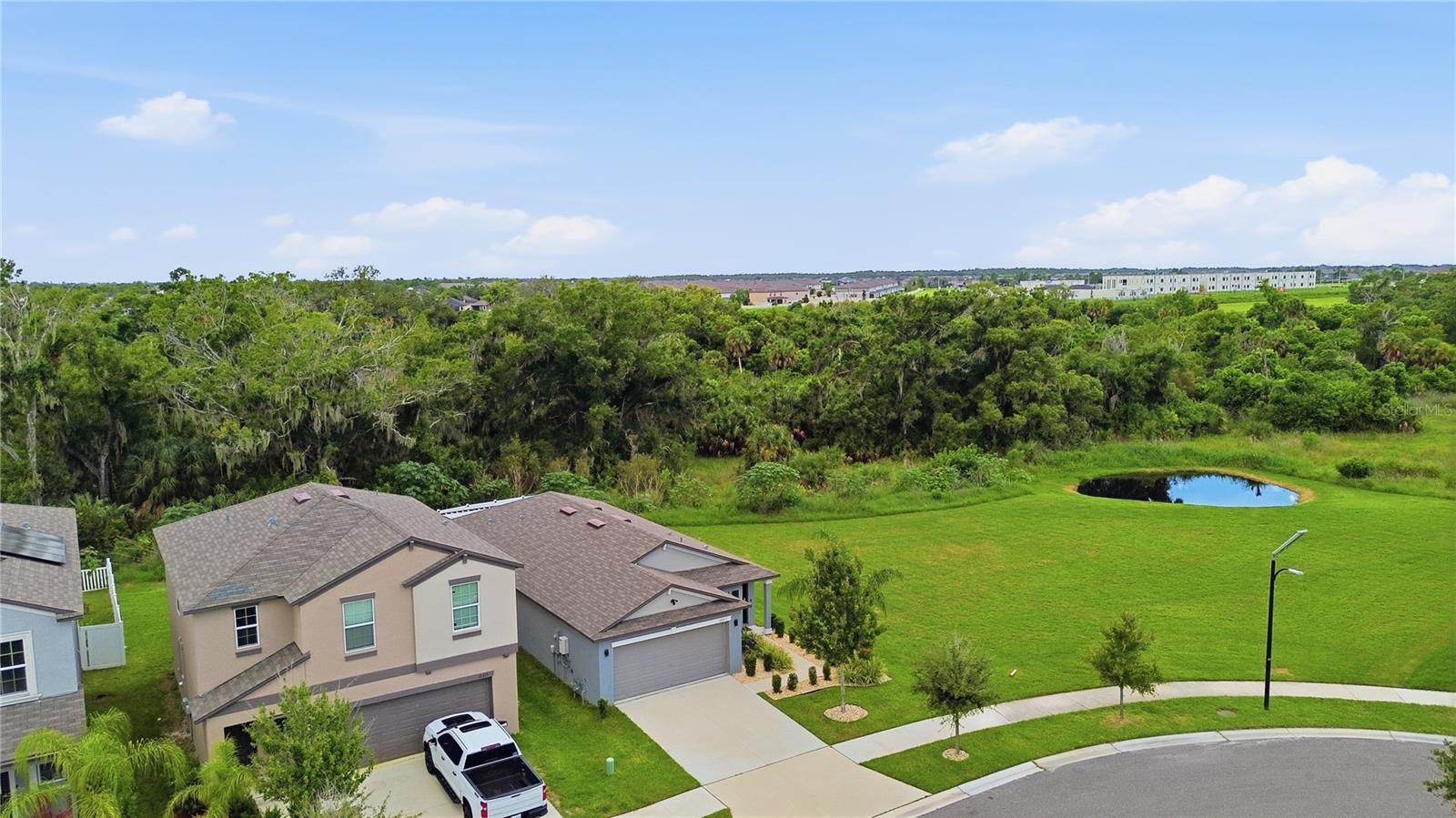 10331 BLUE PLUME CT — photo 45
