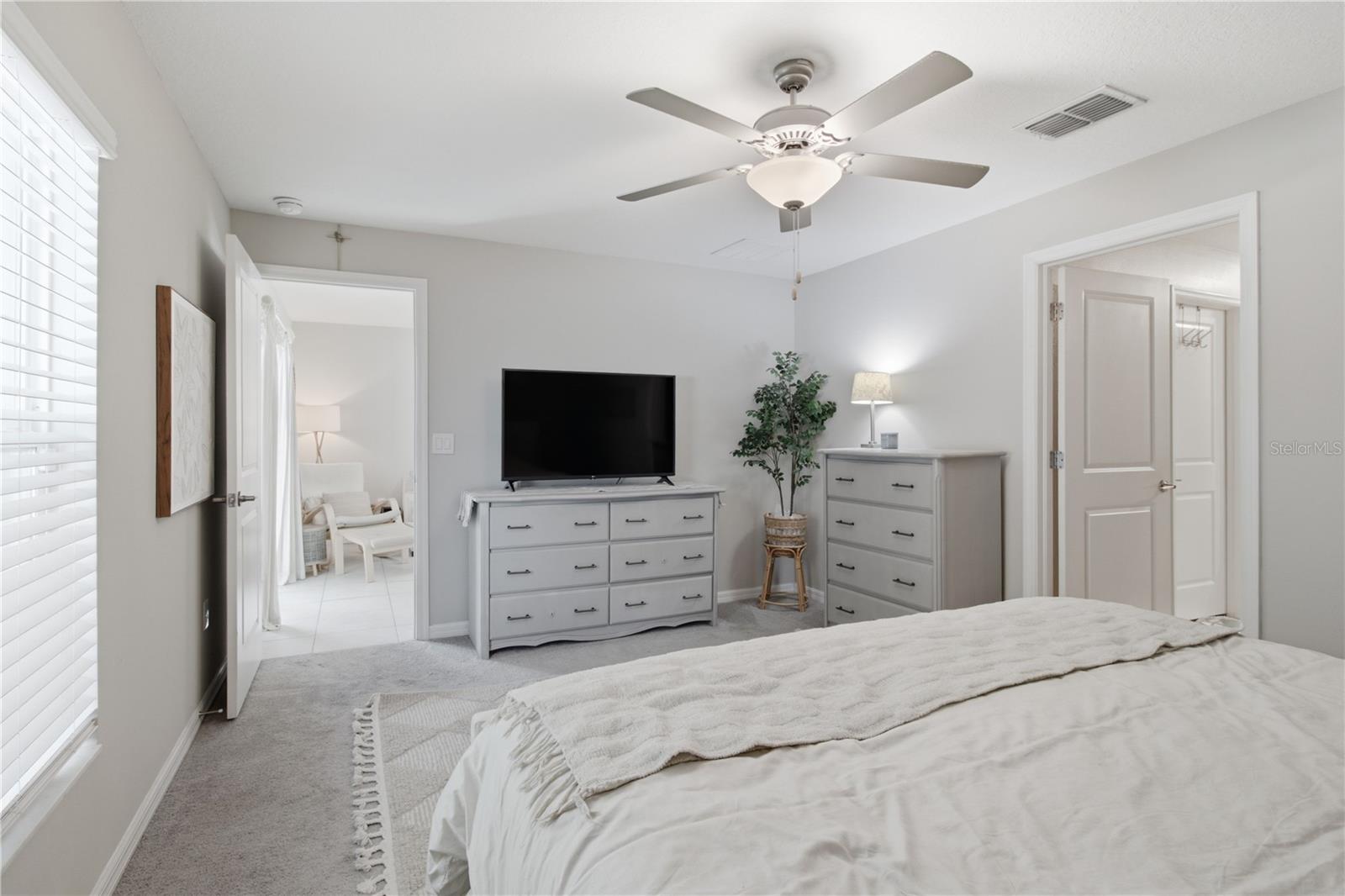 10331 BLUE PLUME CT — photo 21
