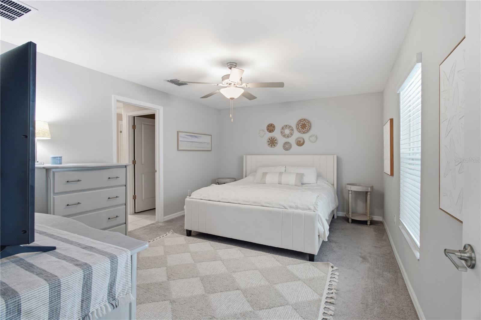 10331 BLUE PLUME CT — photo 18