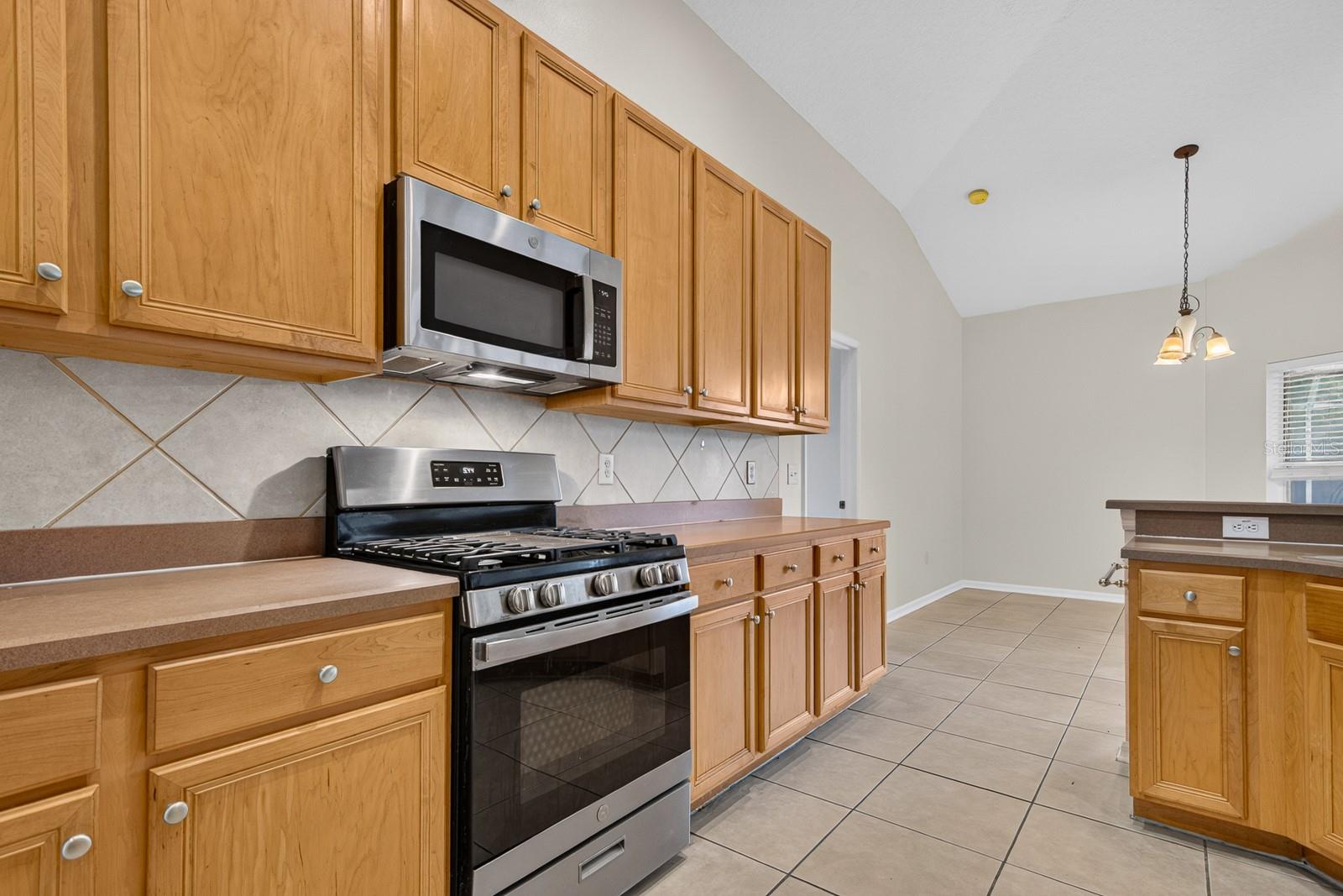10527 SAN TRAVASO DR — photo 21