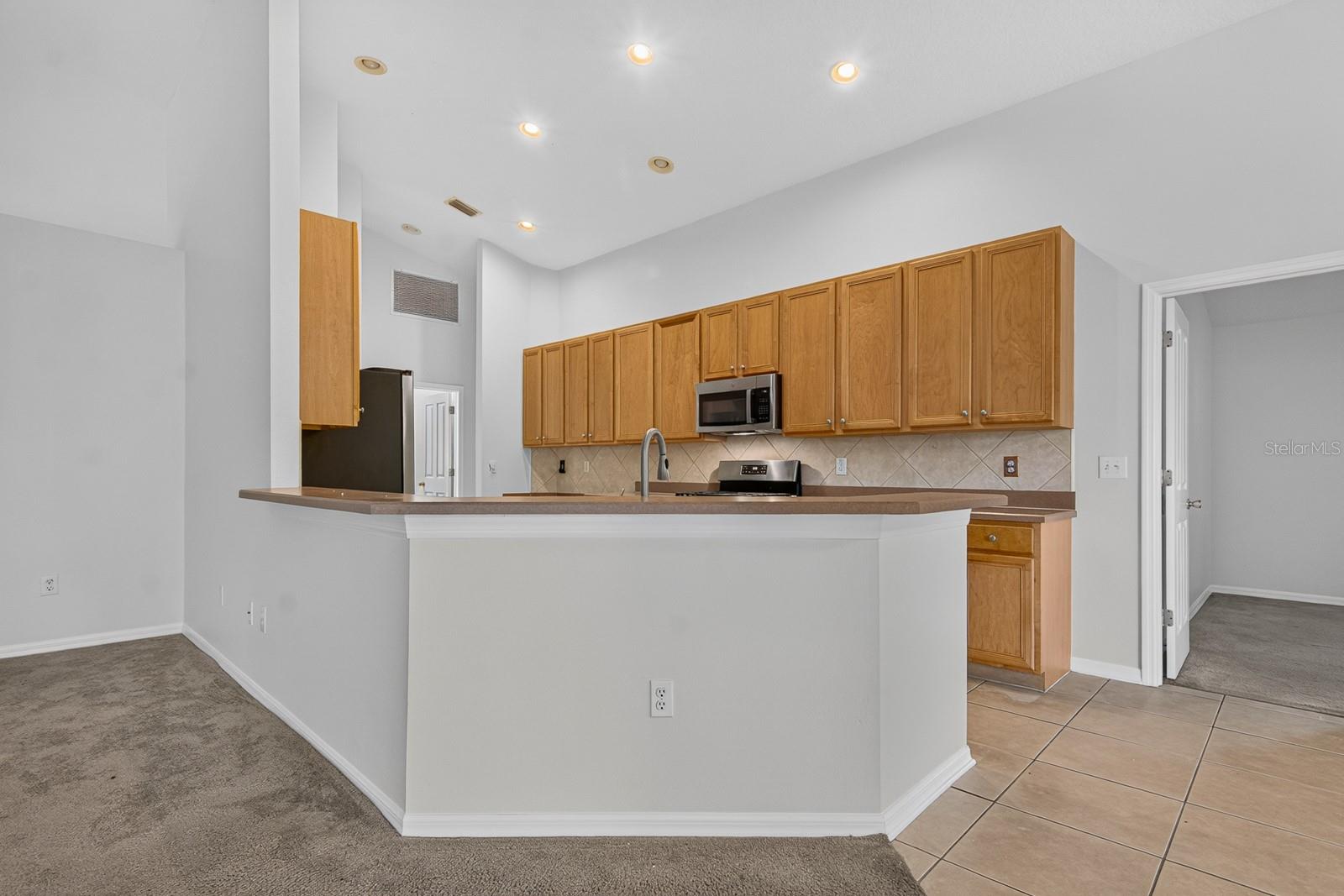 10527 SAN TRAVASO DR — photo 17