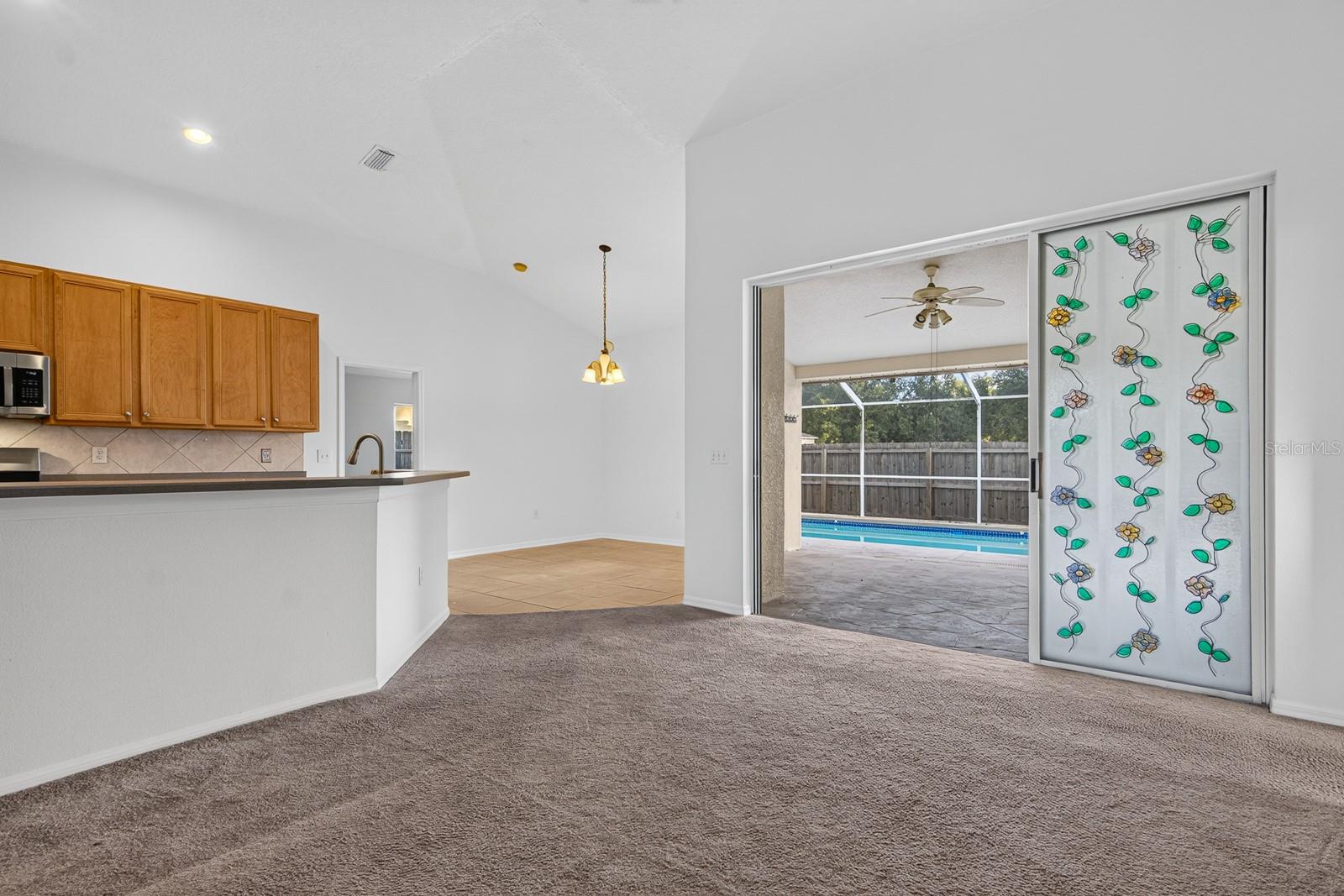 10527 SAN TRAVASO DR — photo 16