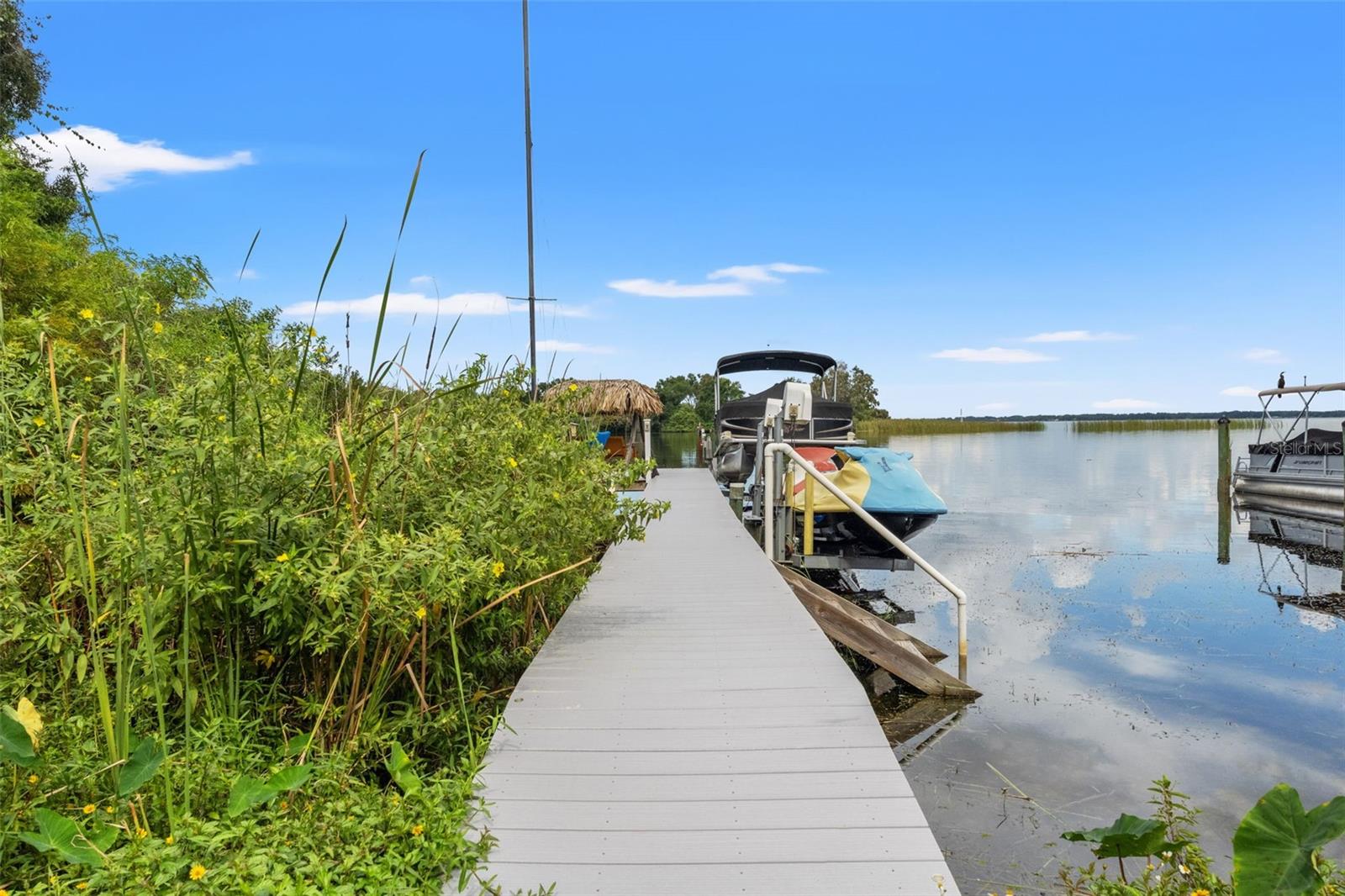 13 FRESHWATER — photo 47
