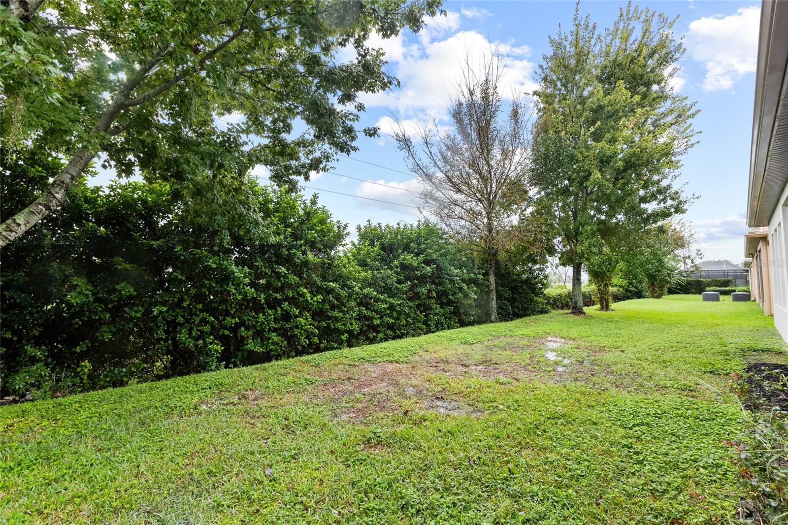 33232 AZALEA RIDGE DR — photo 51