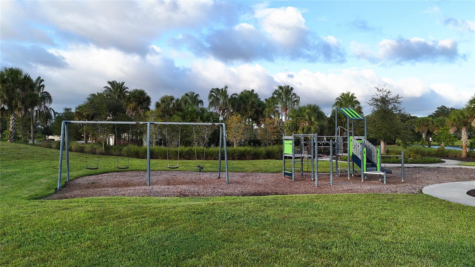 3504 SAVANNA PALMS CT — photo 40