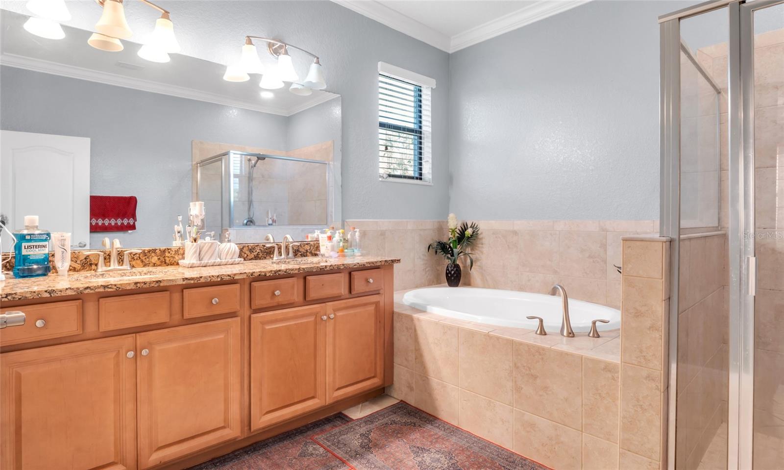 3504 SAVANNA PALMS CT — photo 20