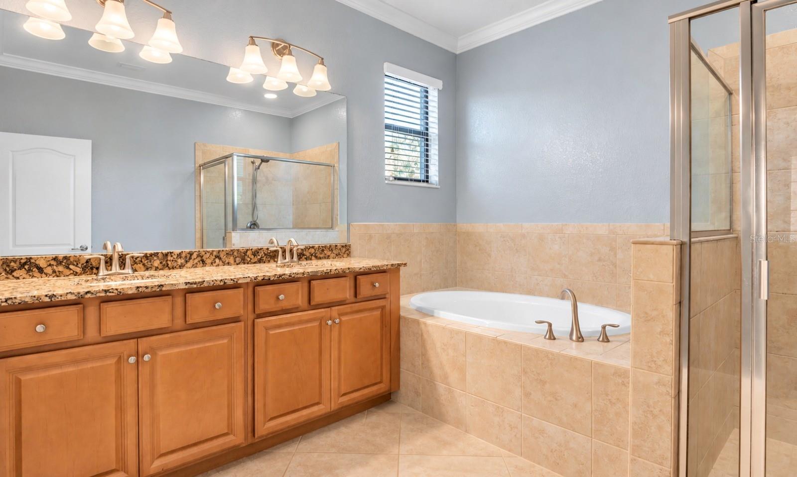 3504 SAVANNA PALMS CT — photo 18