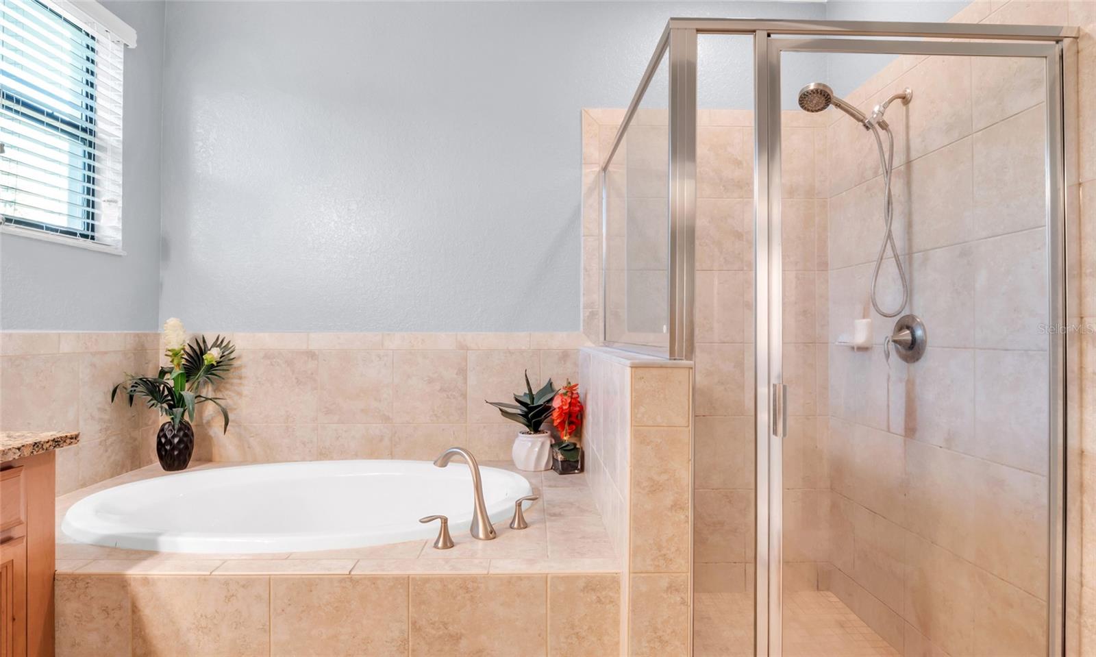 3504 SAVANNA PALMS CT — photo 19