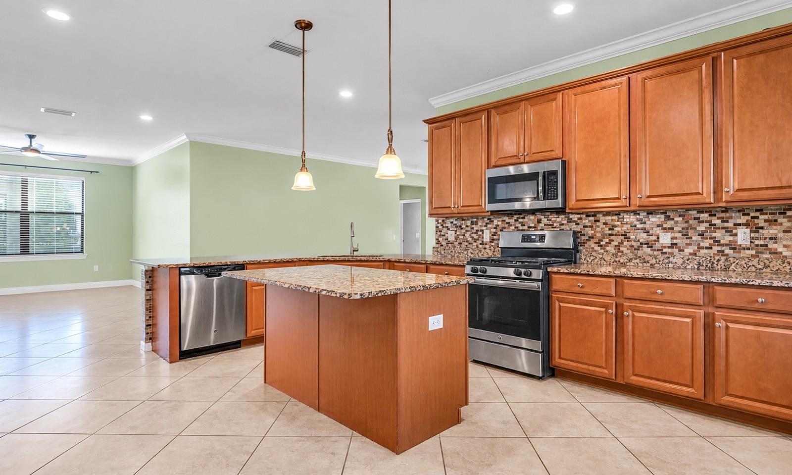 3504 SAVANNA PALMS CT — photo 12