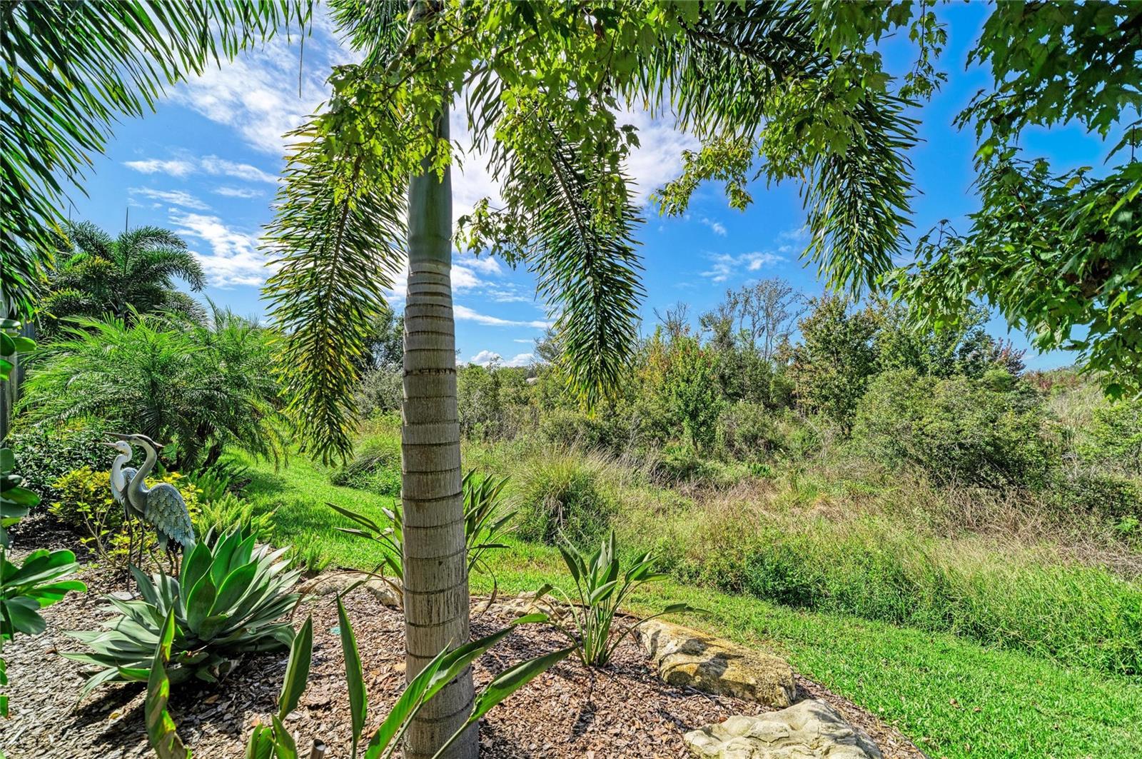 8269 GRANDE SHORES DR — photo 58