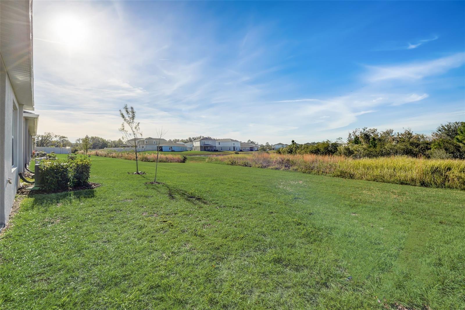 18027 TURNING LEAF CIR — photo 35