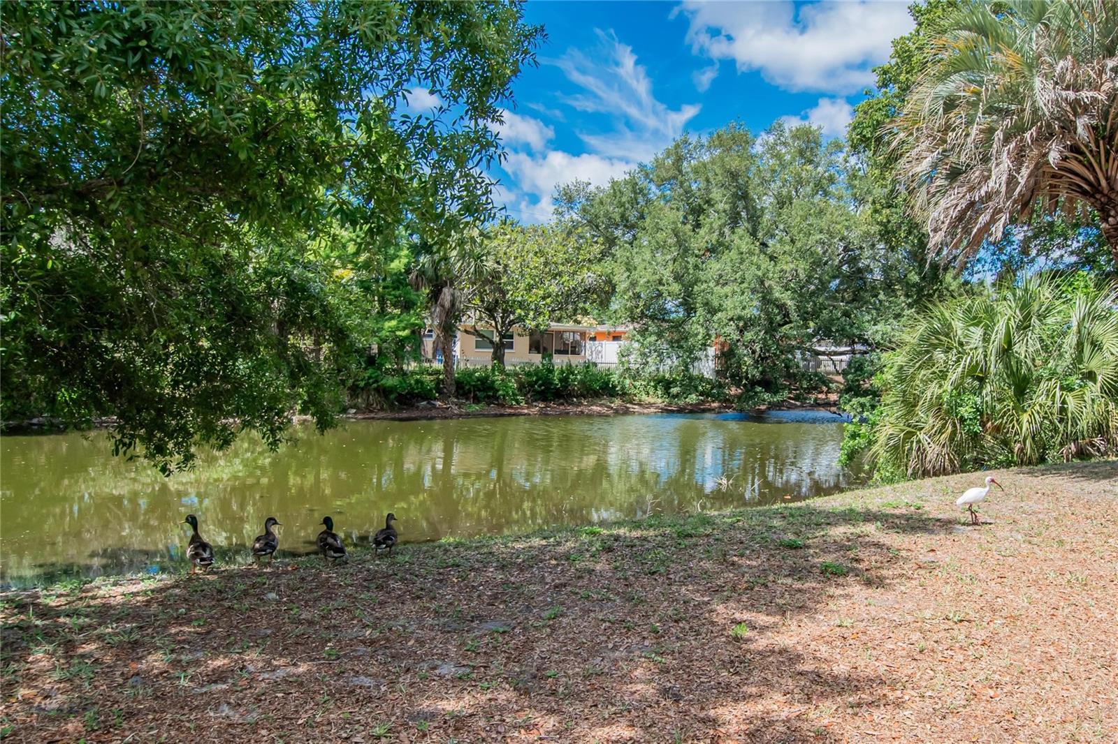 750 GRAND CYPRESS LN — photo 62