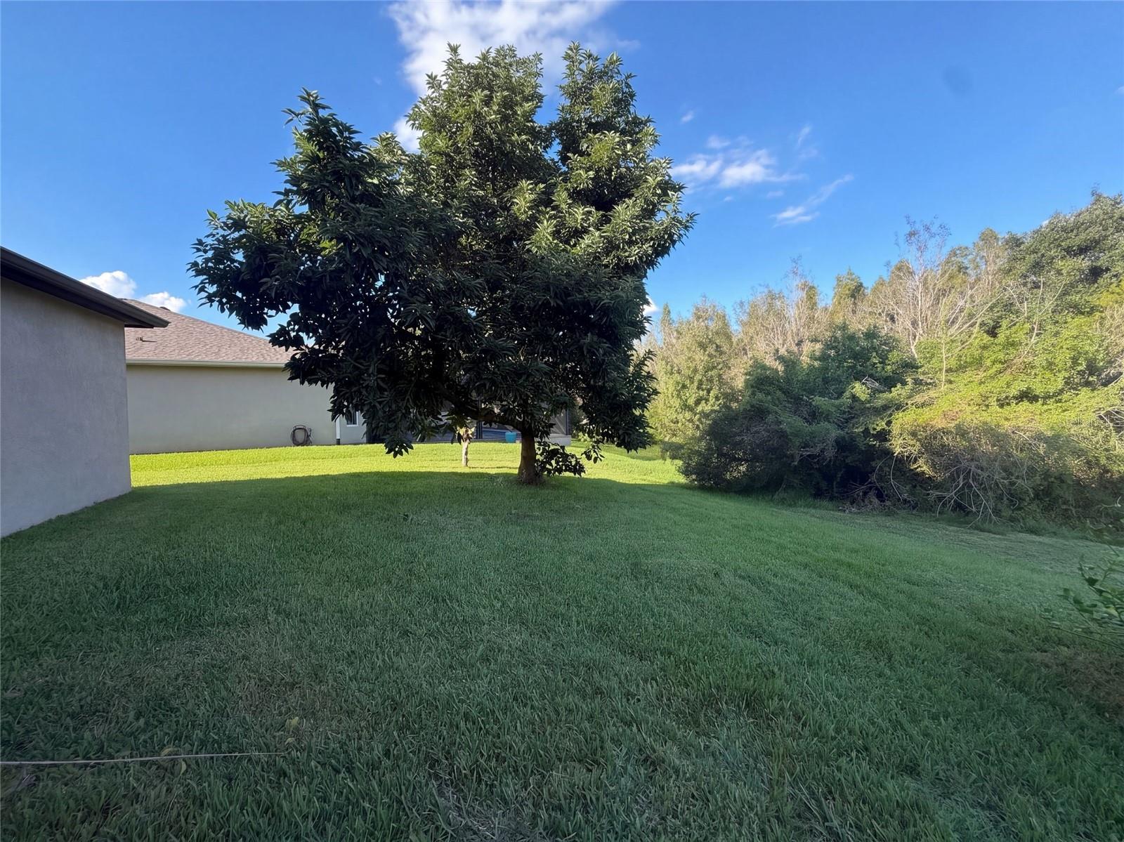12424 BELCROFT DR — photo 33