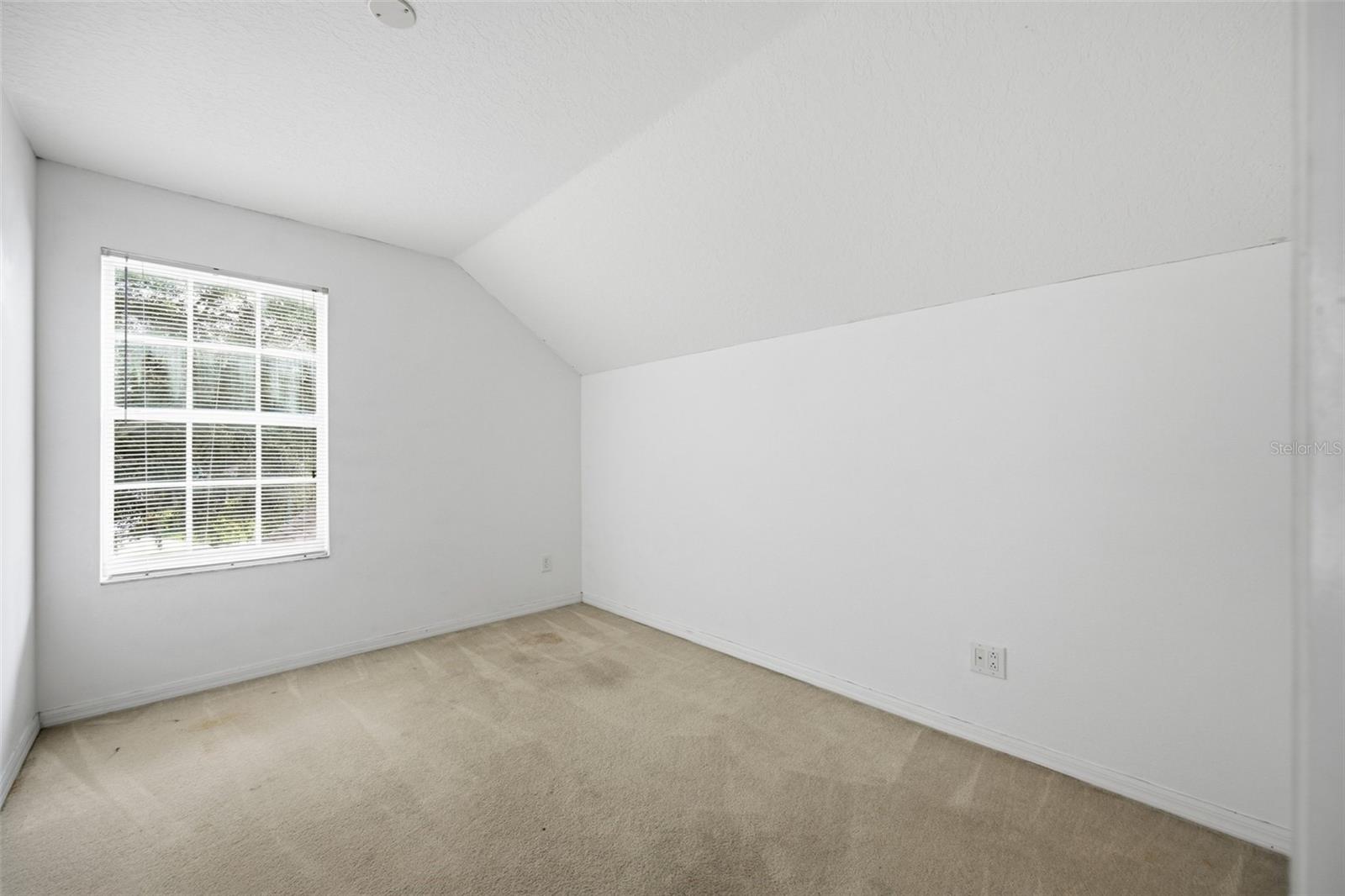 8713 PERSEA CT — photo 13