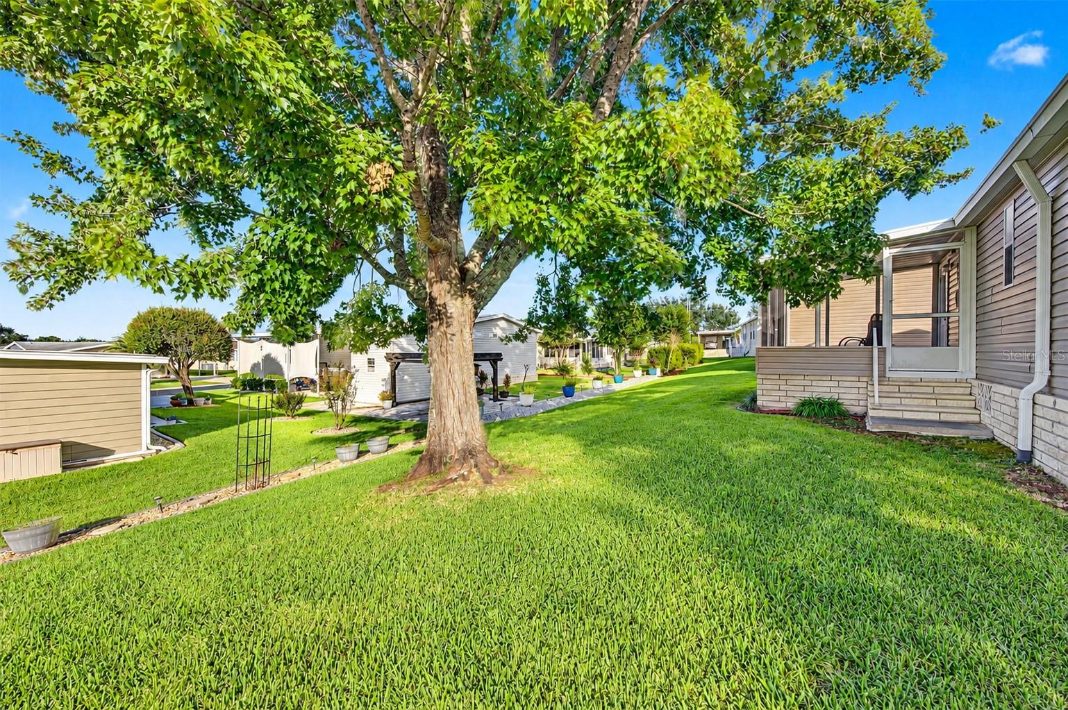 37633 COREY LEWIS AVE — photo 34
