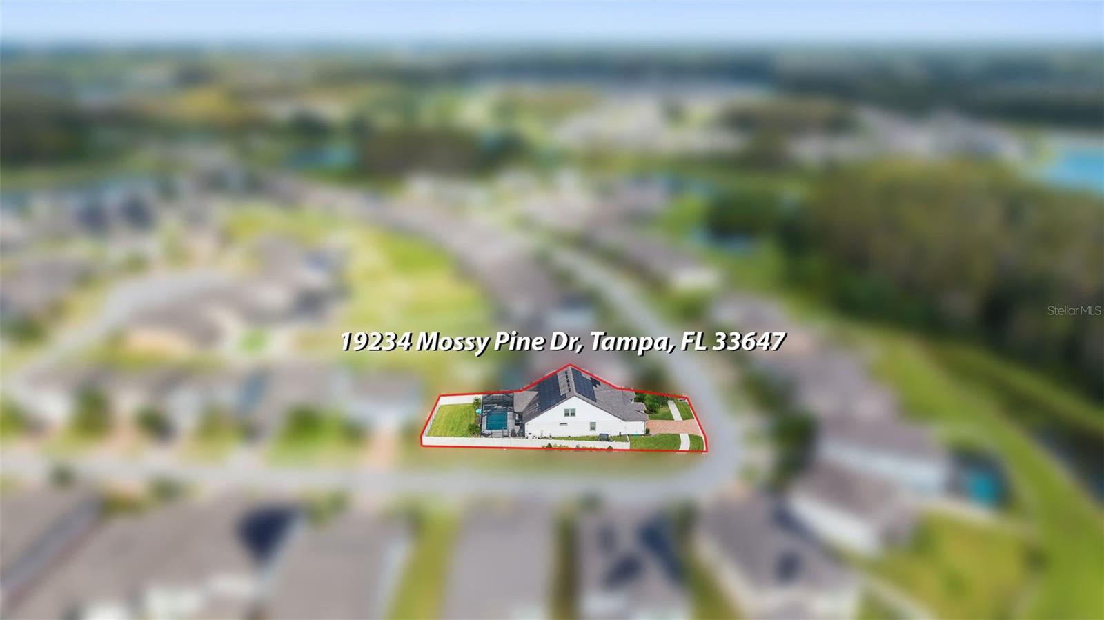 19234 MOSSY PINE DR — photo 74