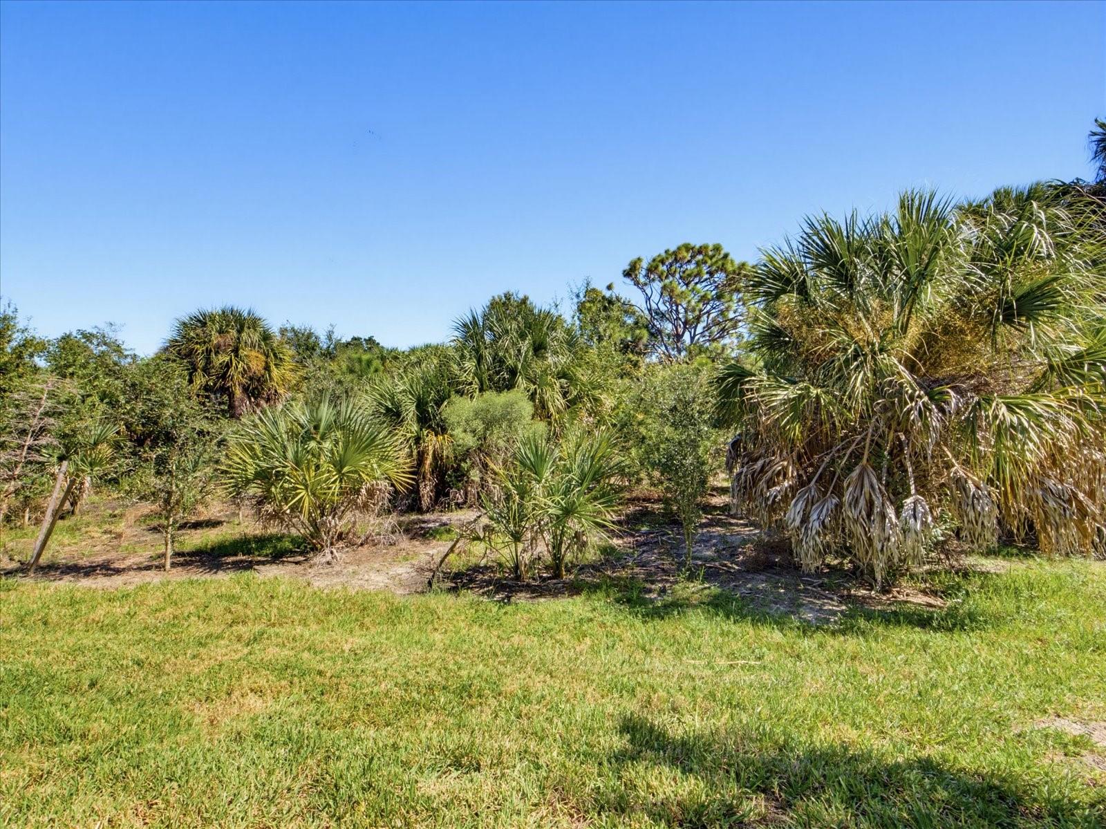 25912 BIMINI SANDS CT — photo 33