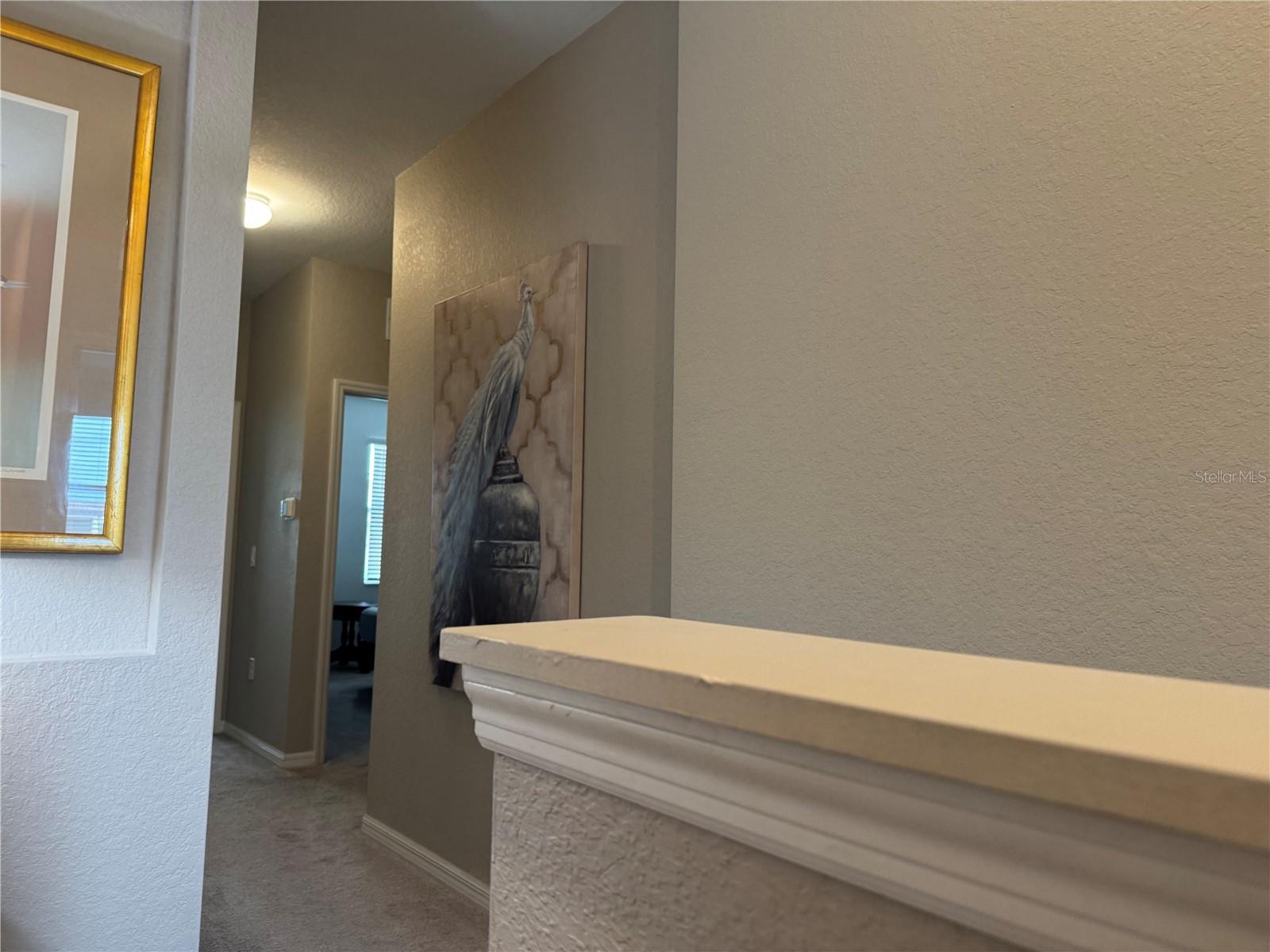 20448 LAGENTE CIR — photo 13