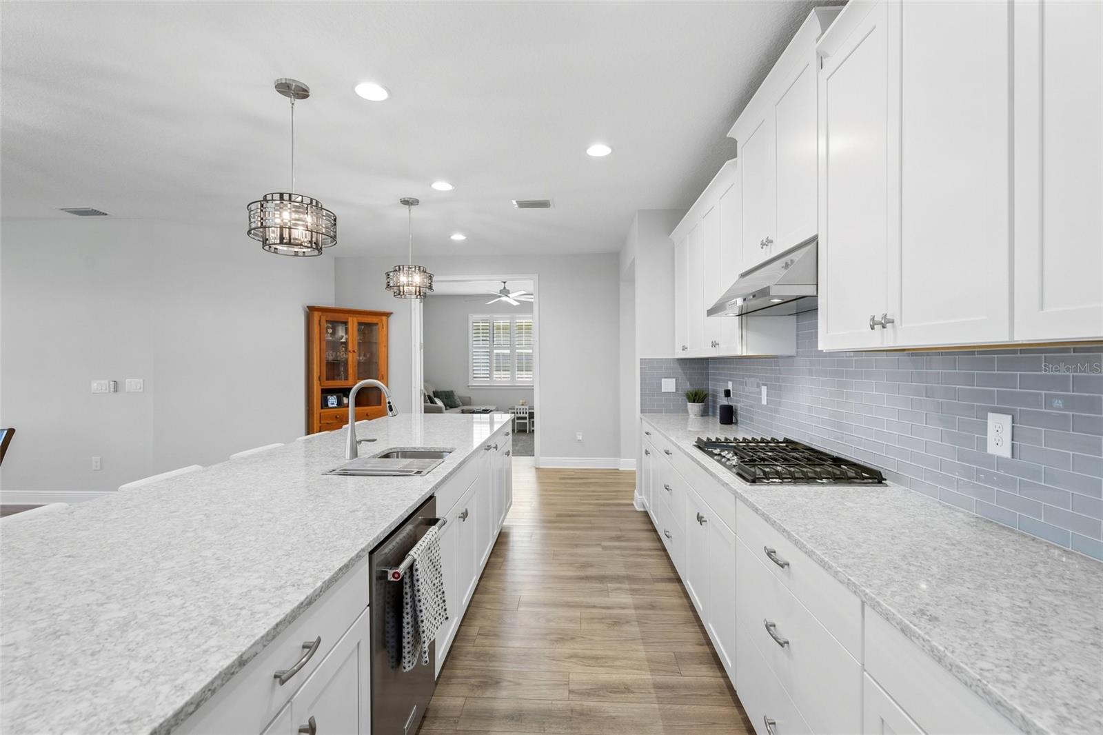 5890 LONG SHORE LOOP — photo 9