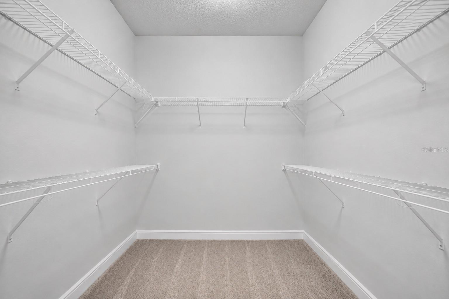 2684 STAR APPLE WAY — photo 19
