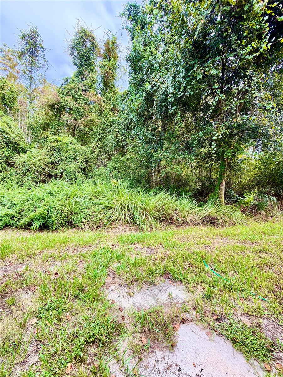 1038 BLACKWATER DR — photo 36