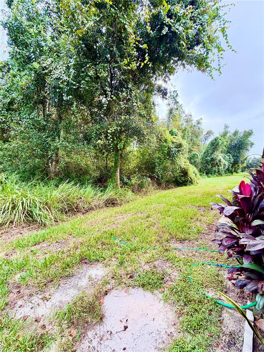 1038 BLACKWATER DR — photo 37