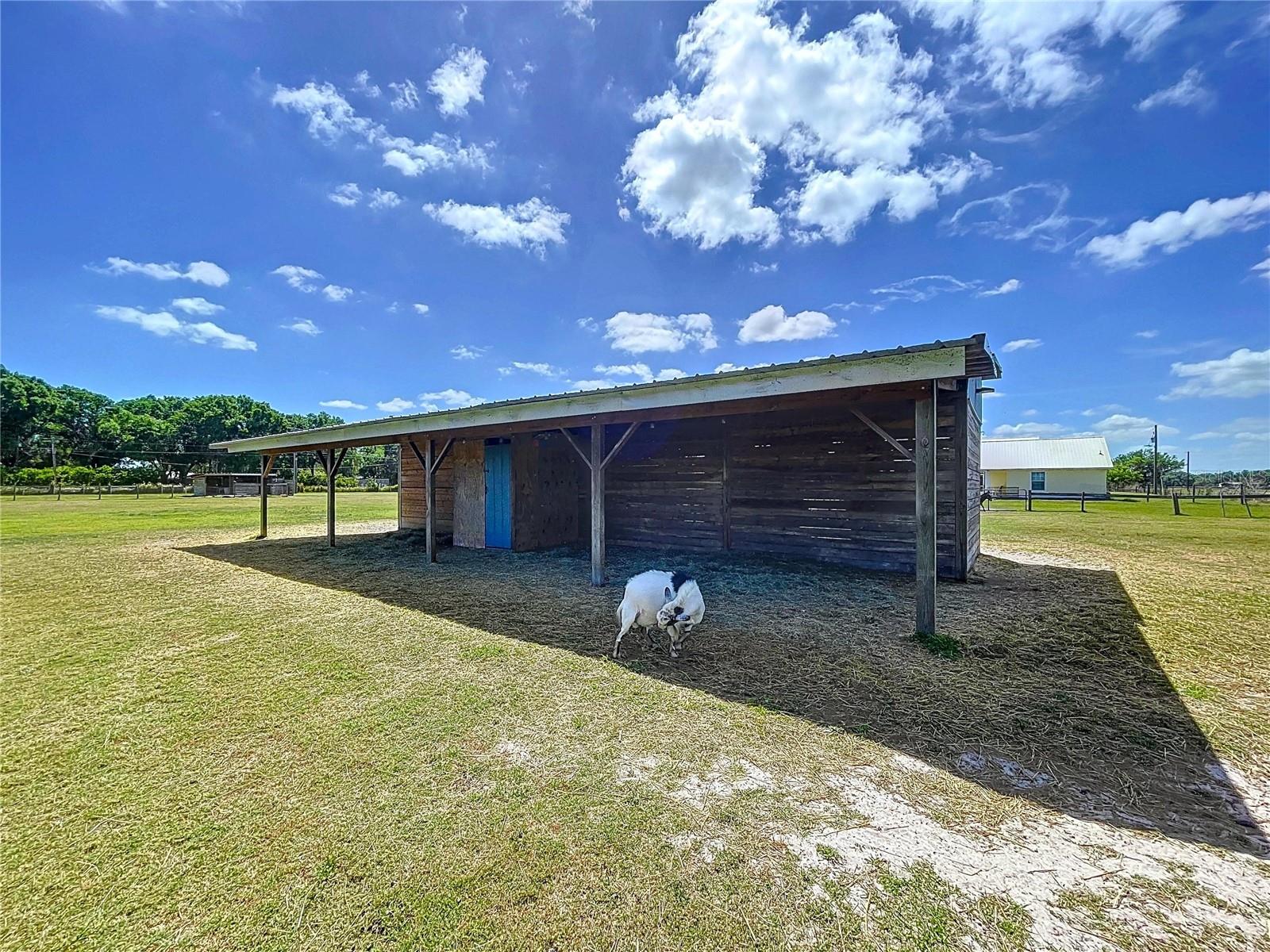 3108 TOM MATTHEWS RD — photo 11