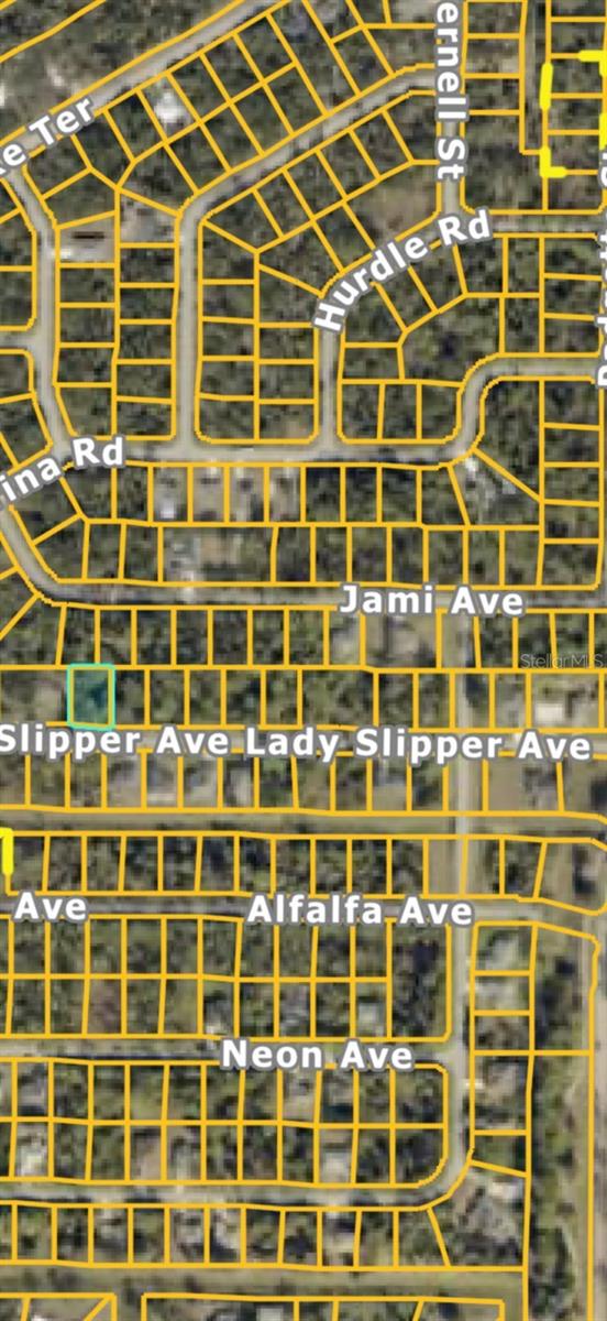 LADY SLIPPER AVE — photo 2