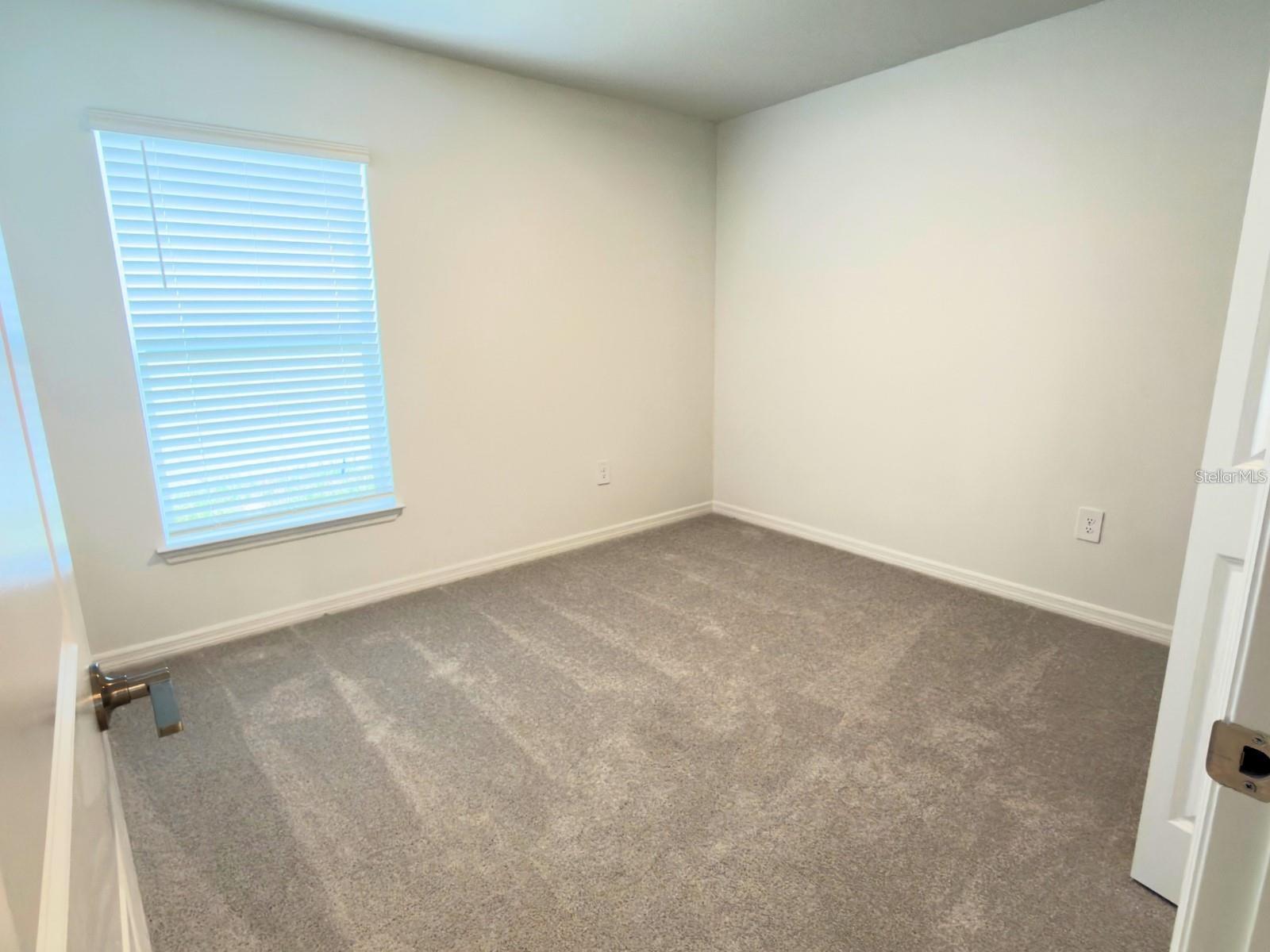 2318 ALLIUM ROSEUM LN — photo 21