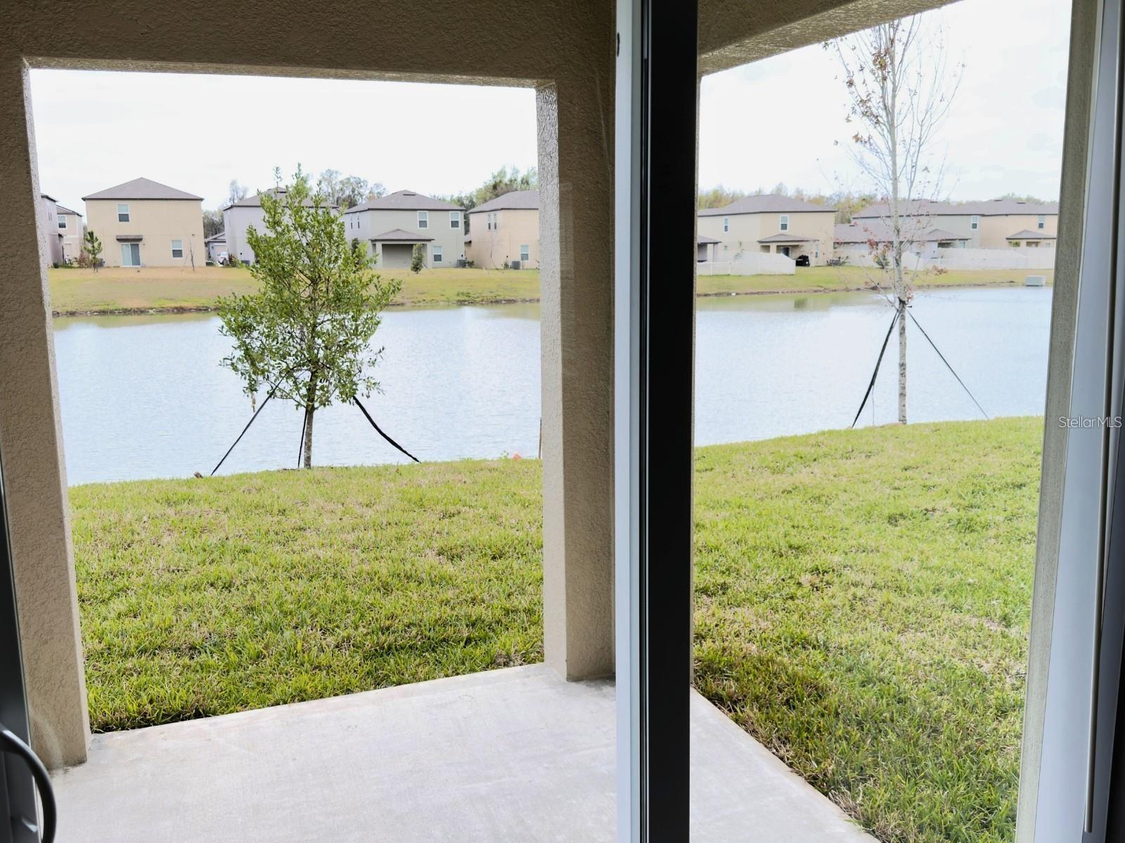 2318 ALLIUM ROSEUM LN — photo 34