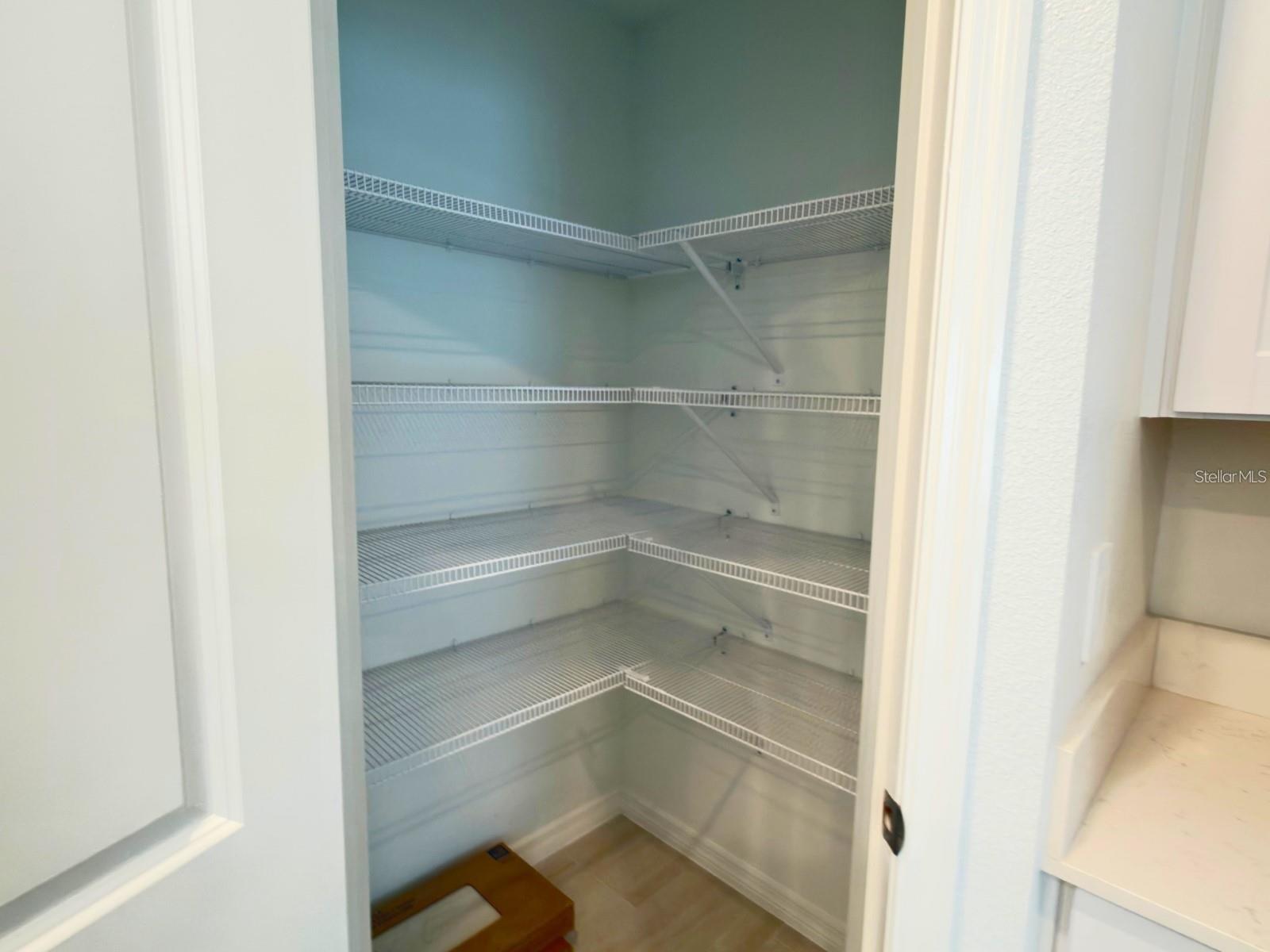 2318 ALLIUM ROSEUM LN — photo 11