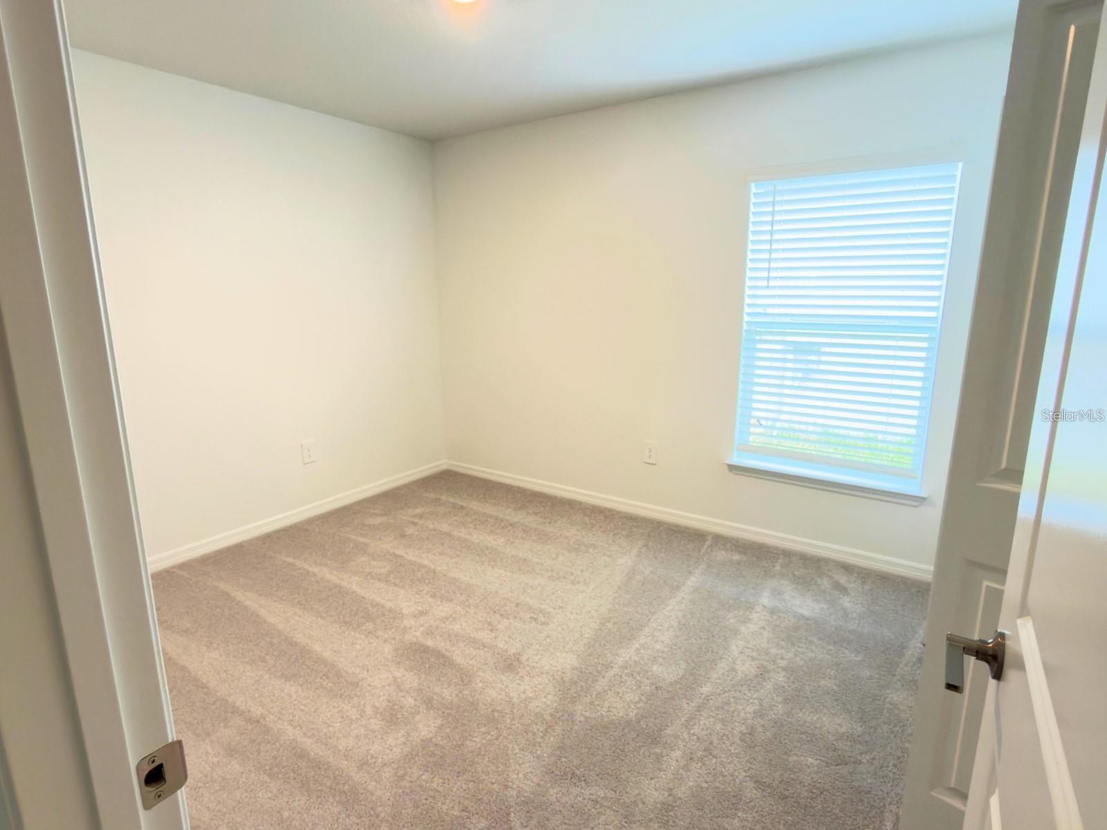 2318 ALLIUM ROSEUM LN — photo 22