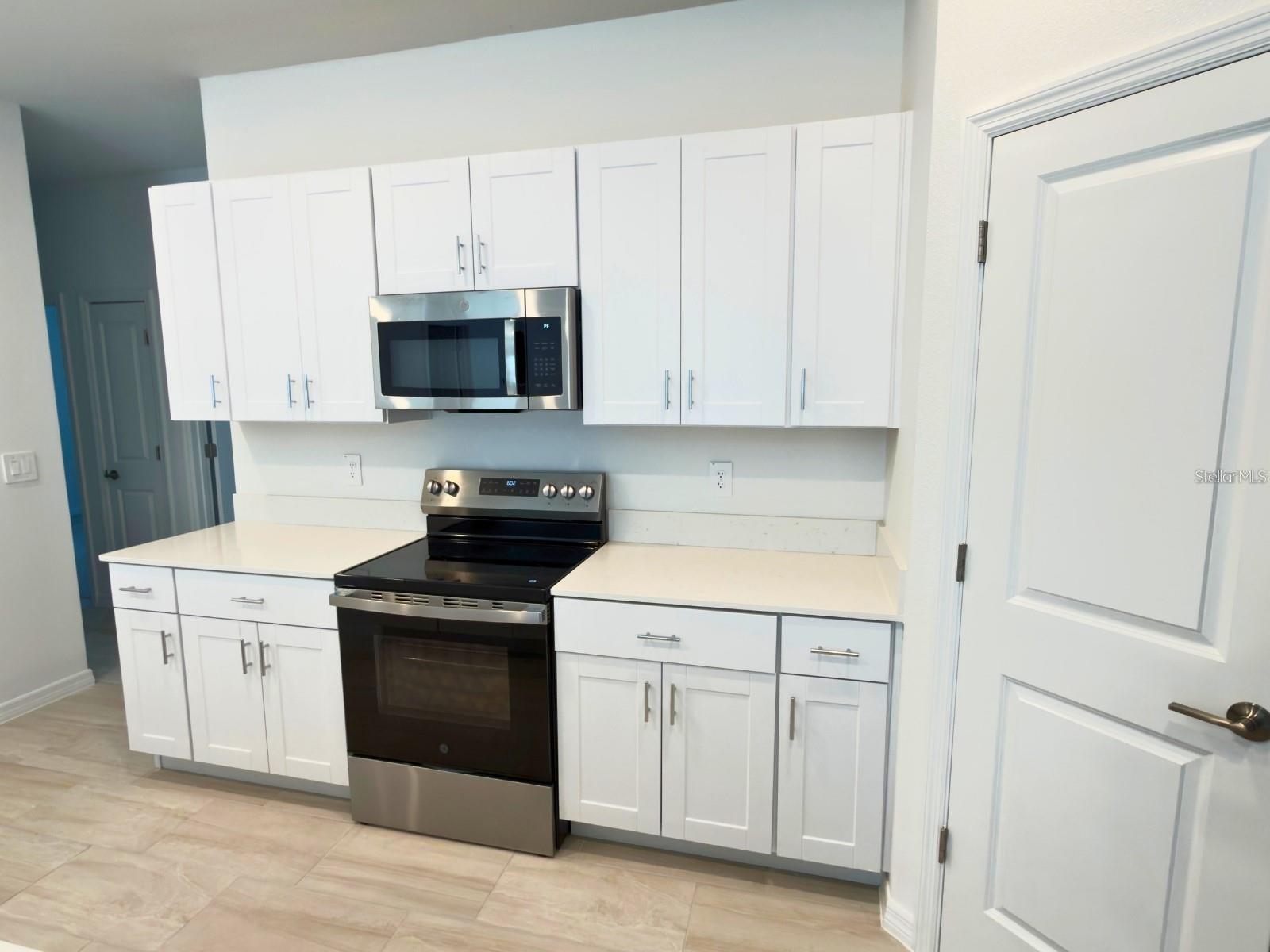 2318 ALLIUM ROSEUM LN — photo 8