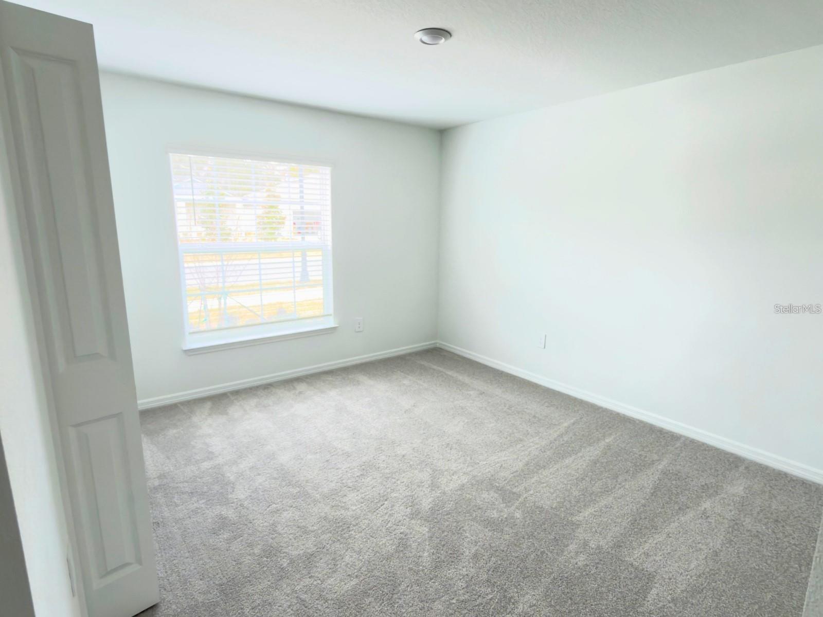 2318 ALLIUM ROSEUM LN — photo 25