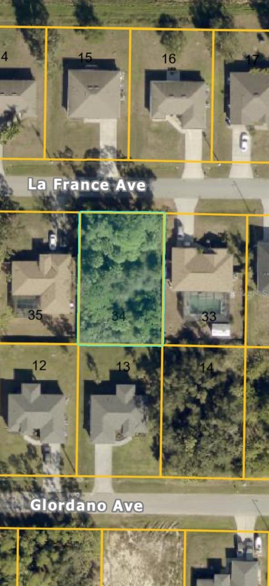 LA FRANCE AVE — photo 2