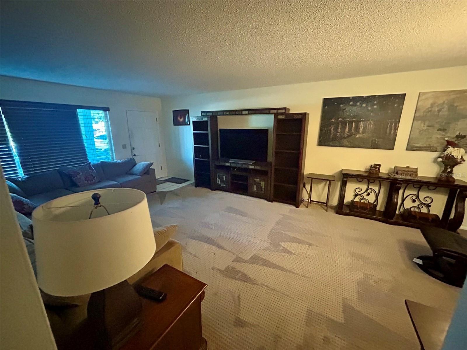 2455 FINLANDIA LN #23 — photo 5