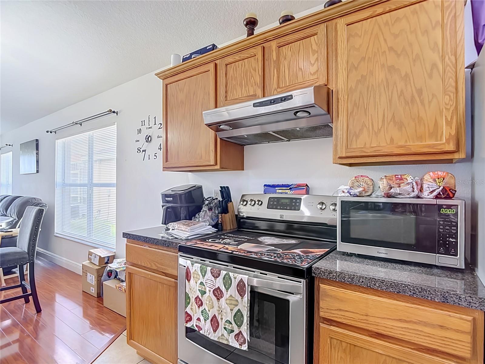 5533 TURTLE CROSSING LOOP — photo 9