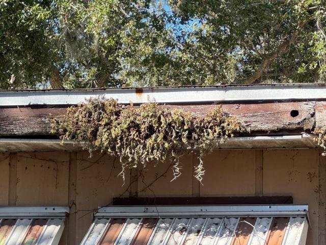 4825 VICTORIA AVE — photo 25