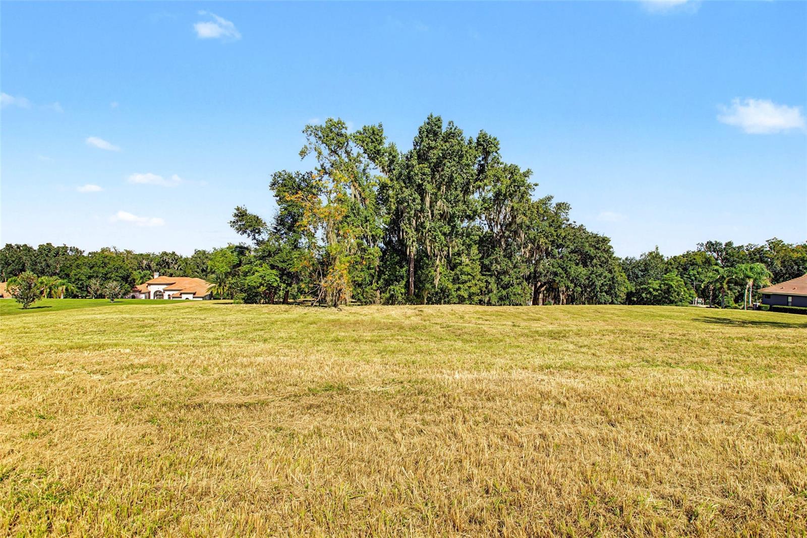 13620 CARNOUSTIE CIR — photo 5