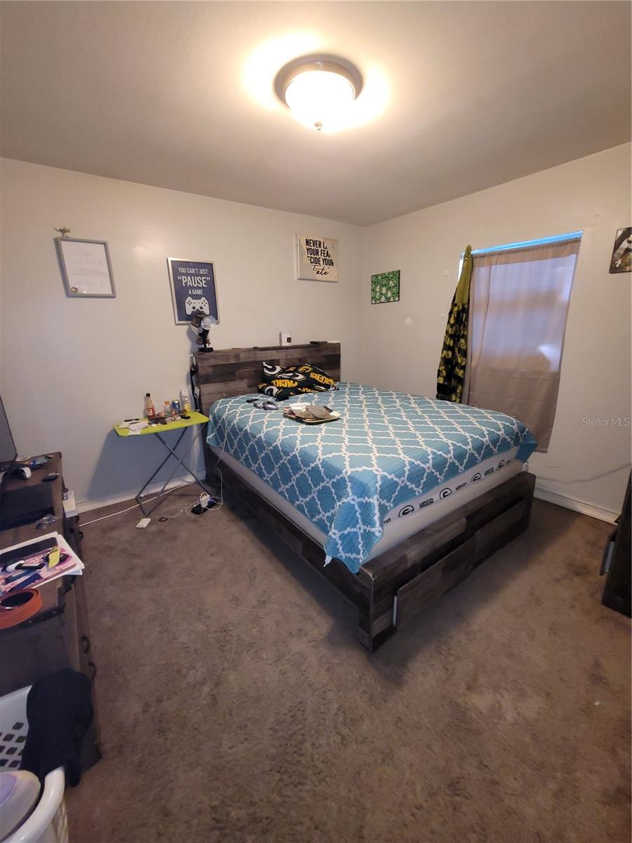 4417 BOOKER T DR — photo 8