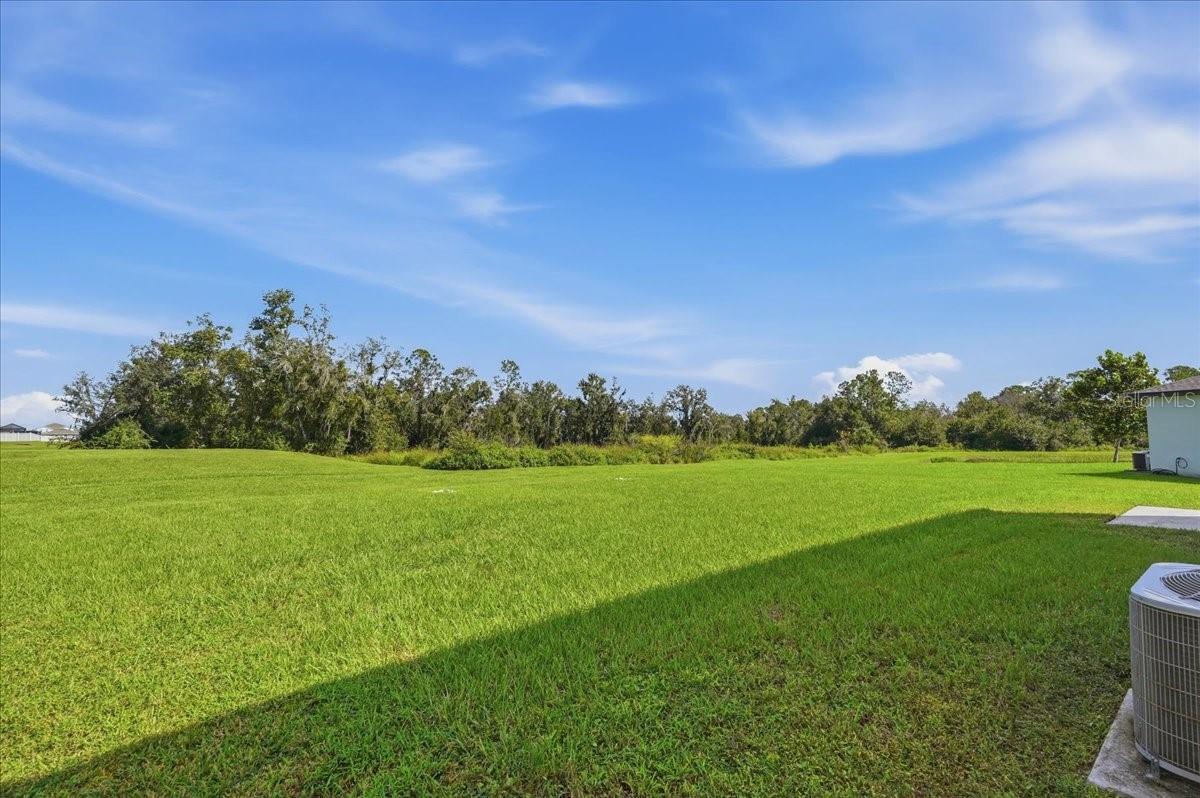 Home in ZEPHYRHILLS — photo 49